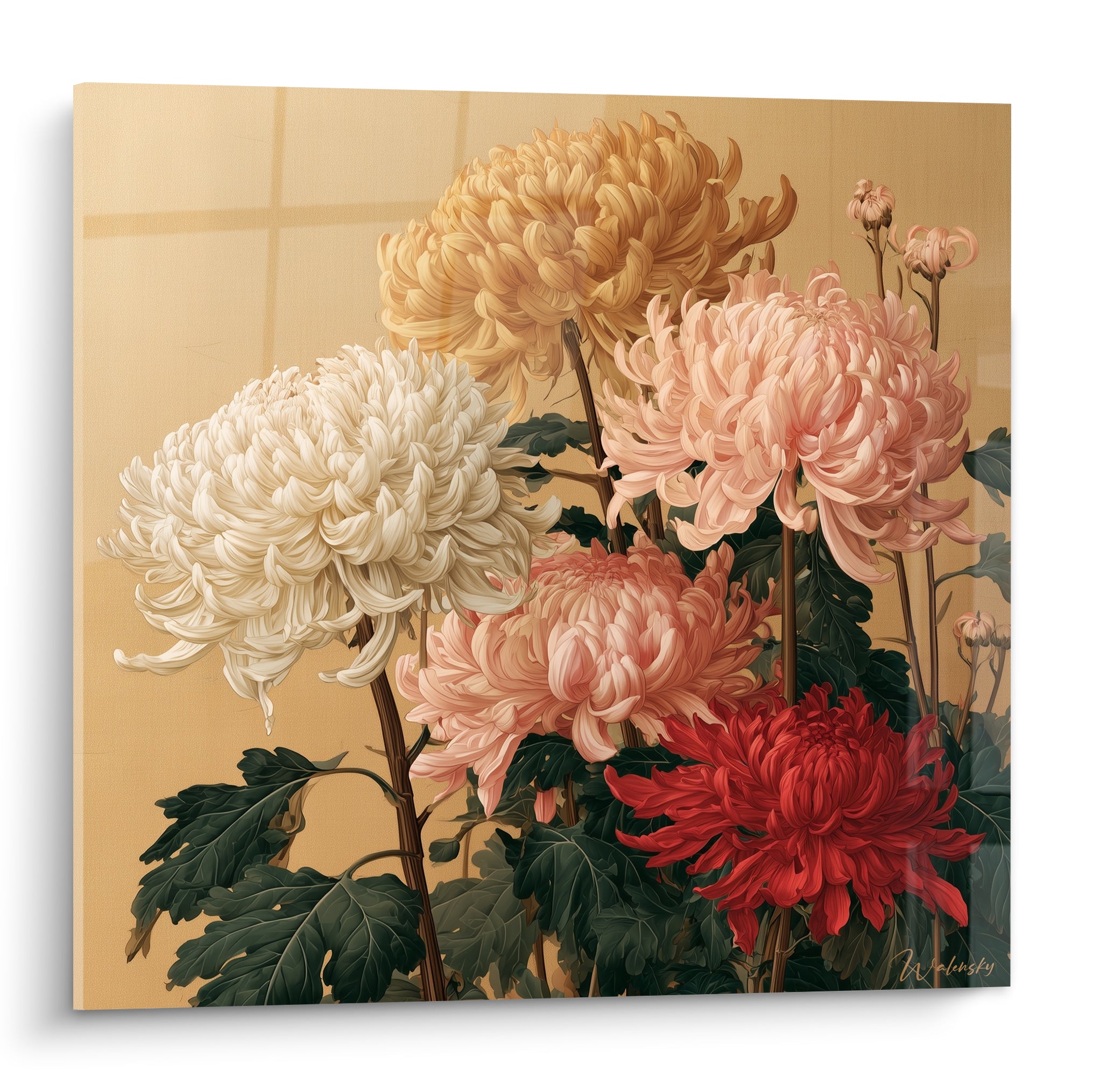 Chrysanthèmes ivoire, doré et rouge en pleine floraison sur fond ocre lumineux détaillé