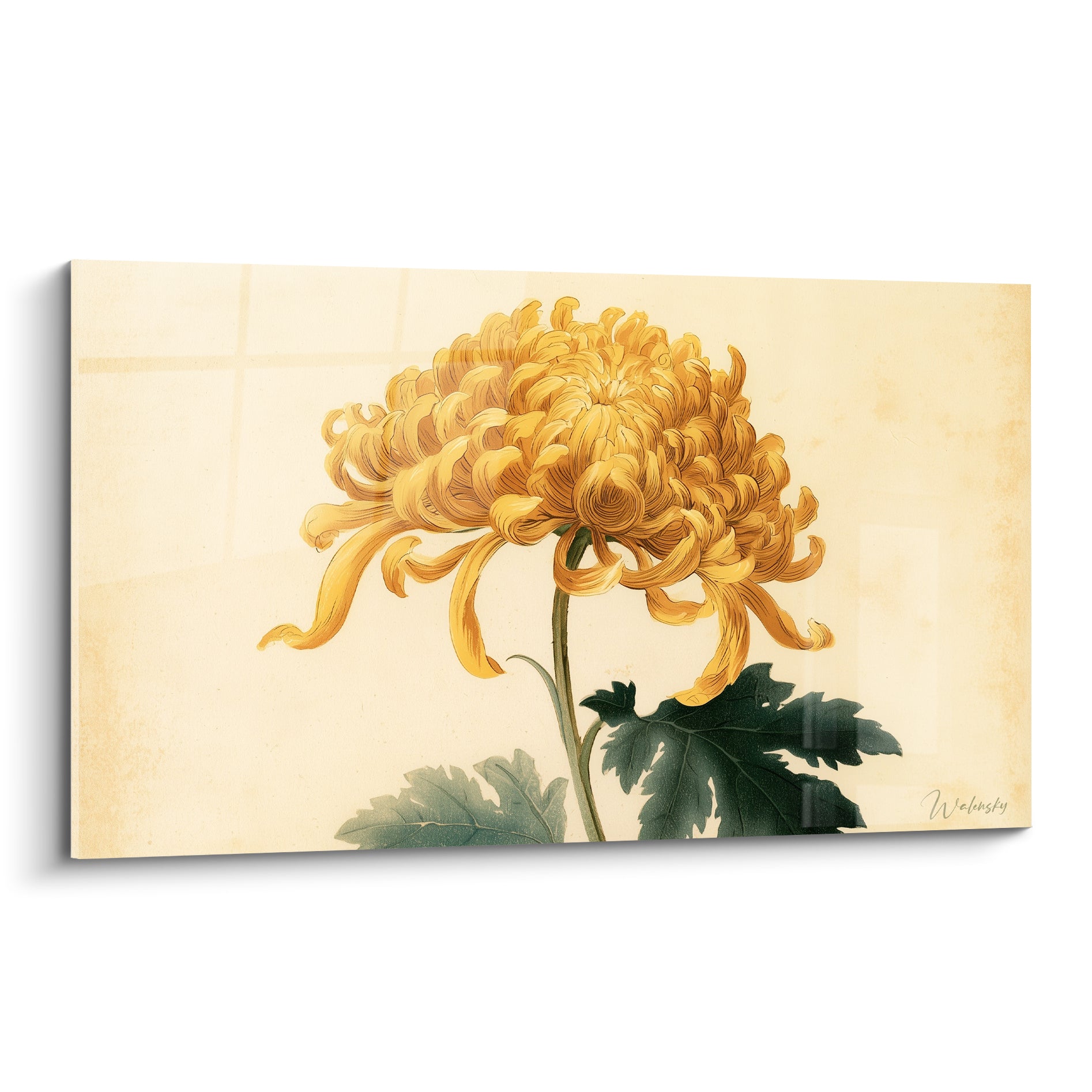 Chrysanthème doré aux pétales enroulés sur fond ivoire patiné, style botanique ancien détaillé