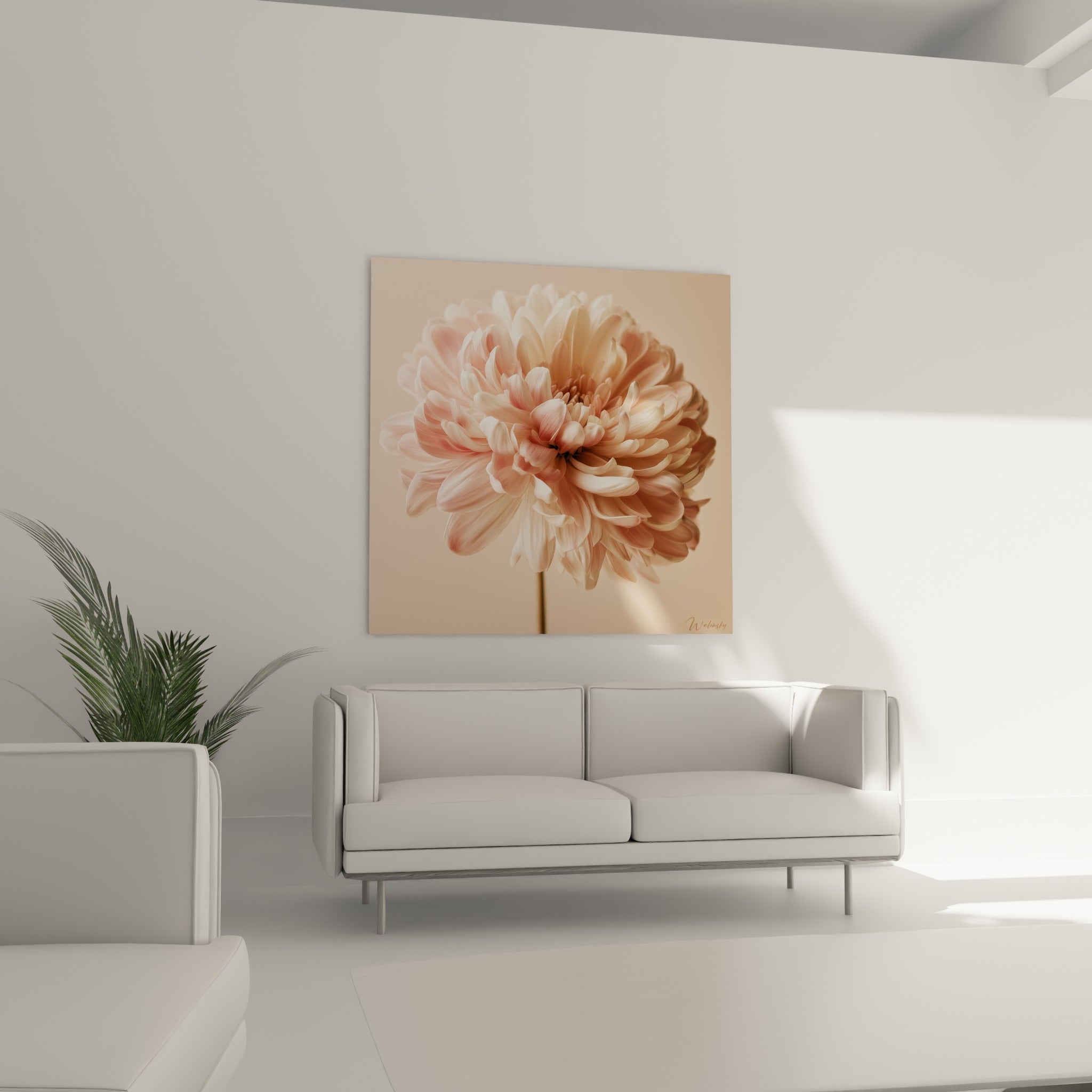 Pétales chrysanthème roses et crème déployés au-dessus d'un canapé dans un salon lumineux
