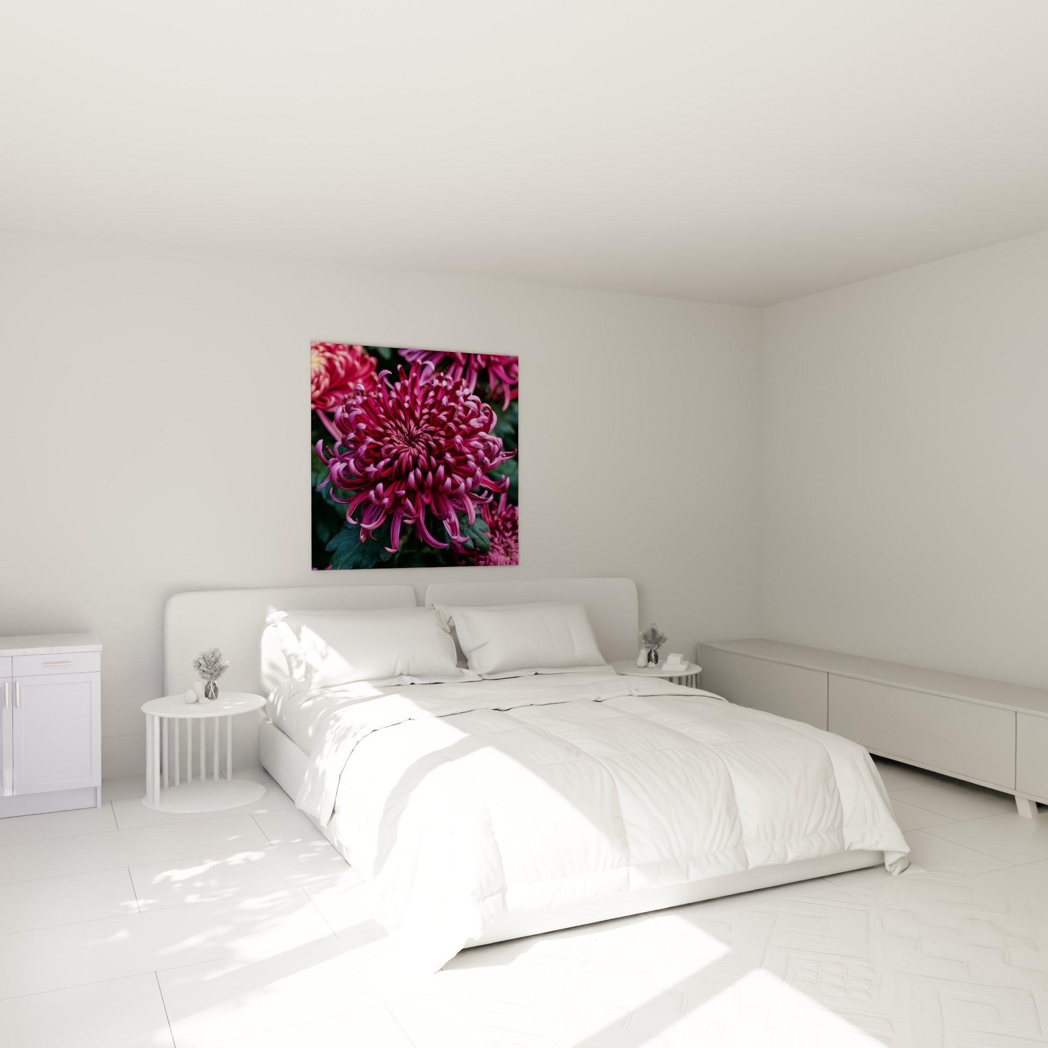 Fleur de chrysanthème rose et bordeaux aux pétales enroulés, au-dessus d'un lit dans une chambre claire