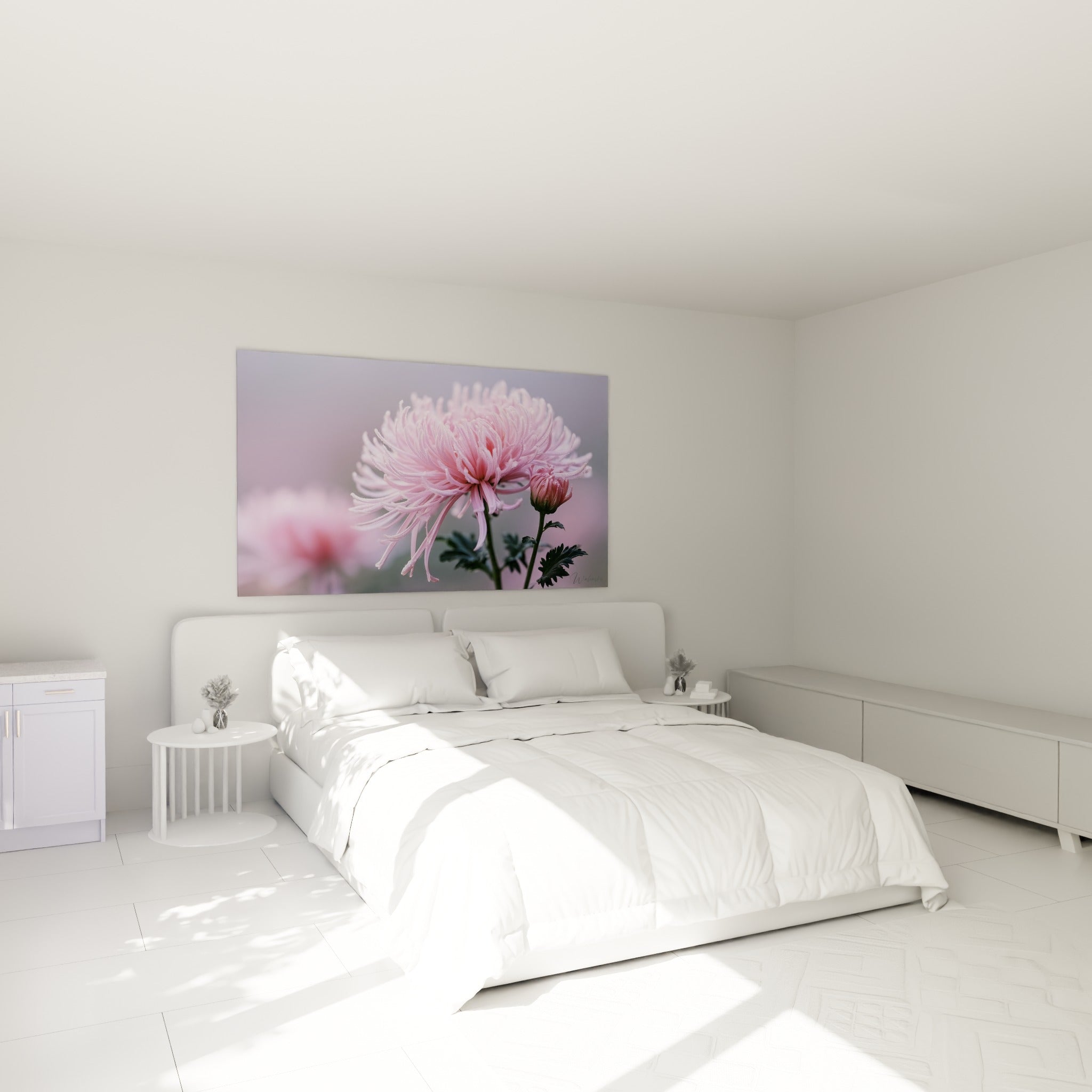 Pétales roses du chrysanthème délicatement striés de rosée, accroché au-dessus d'un lit dans une chambre claire