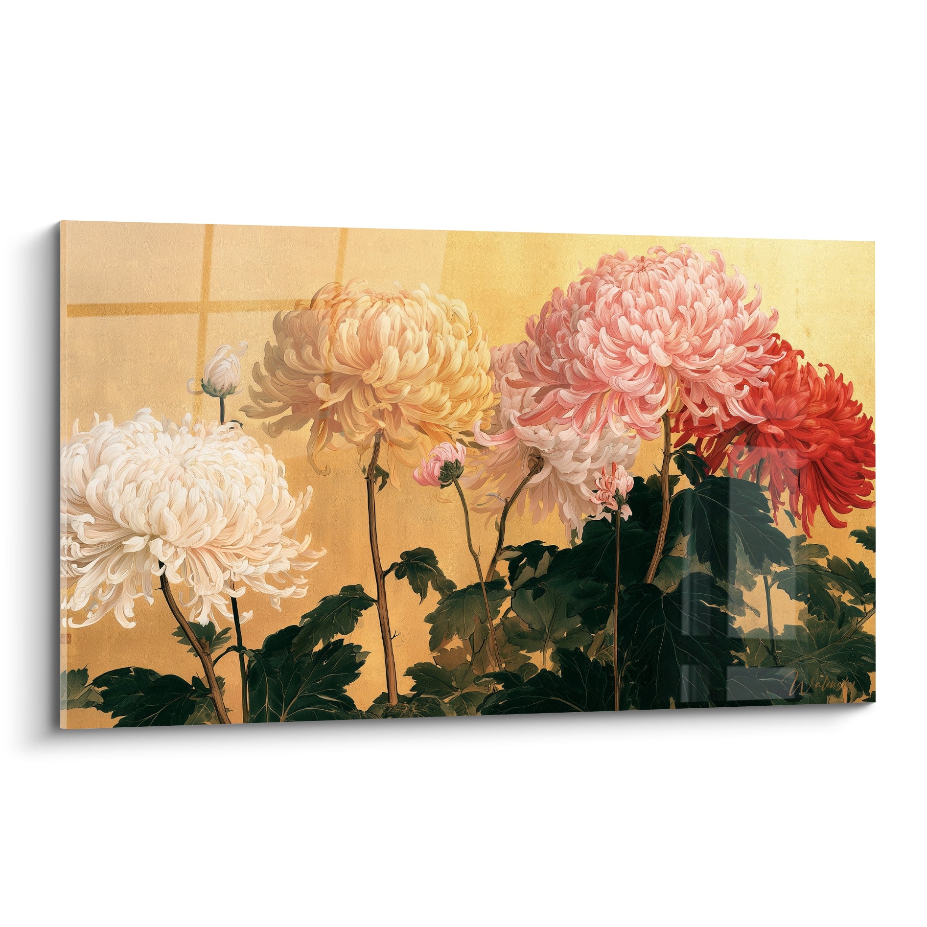Chrysanthèmes blanc, ocre et rose en pleine floraison sur fond doré peint
