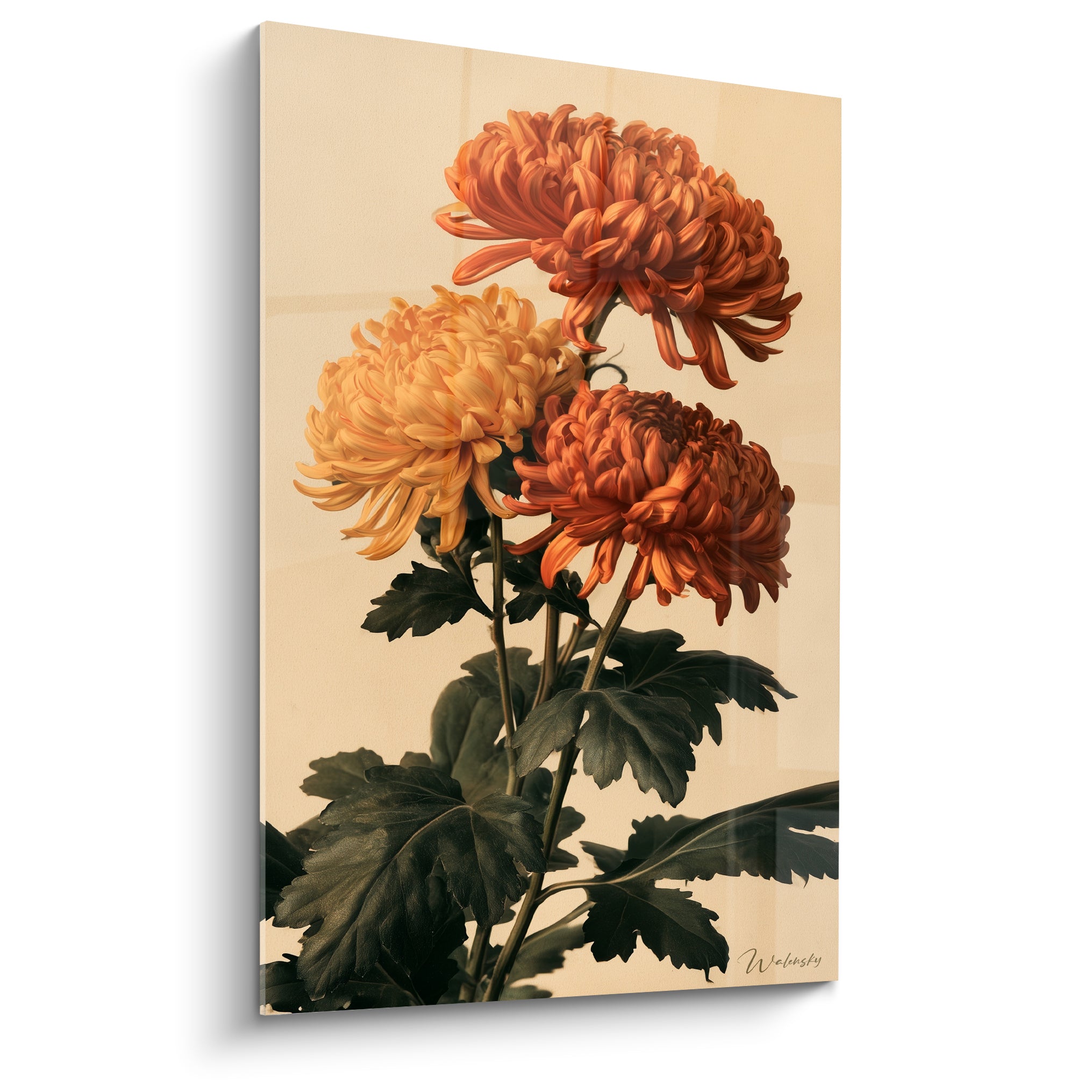 Chrysanthème orange et jaune doré aux pétales enroulés, fond beige patiné, style botanique détaillé
