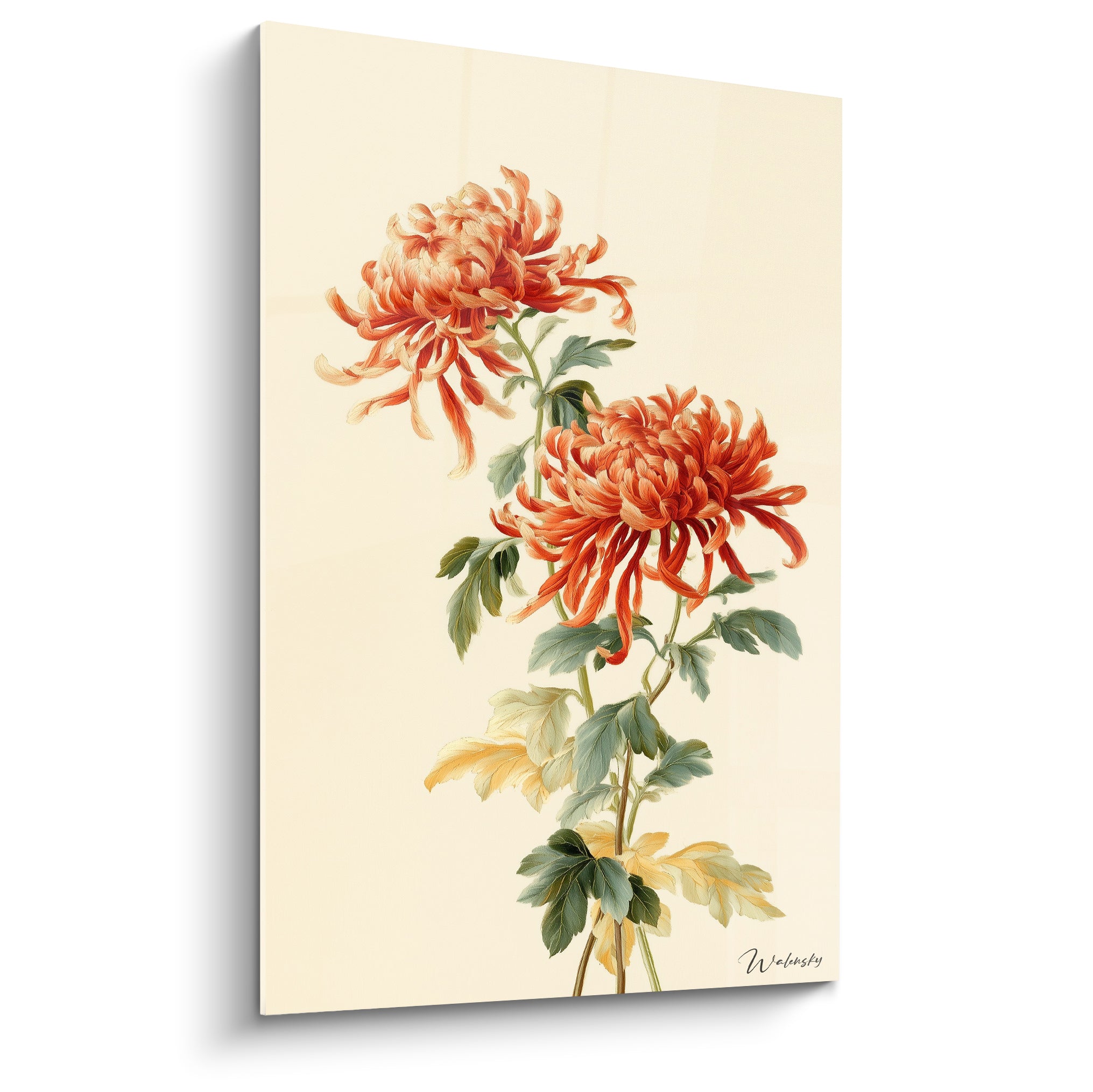 Chrysanthème orange terracotta aux pétales effilés sur fond ivoire, style aquarelle botanique
