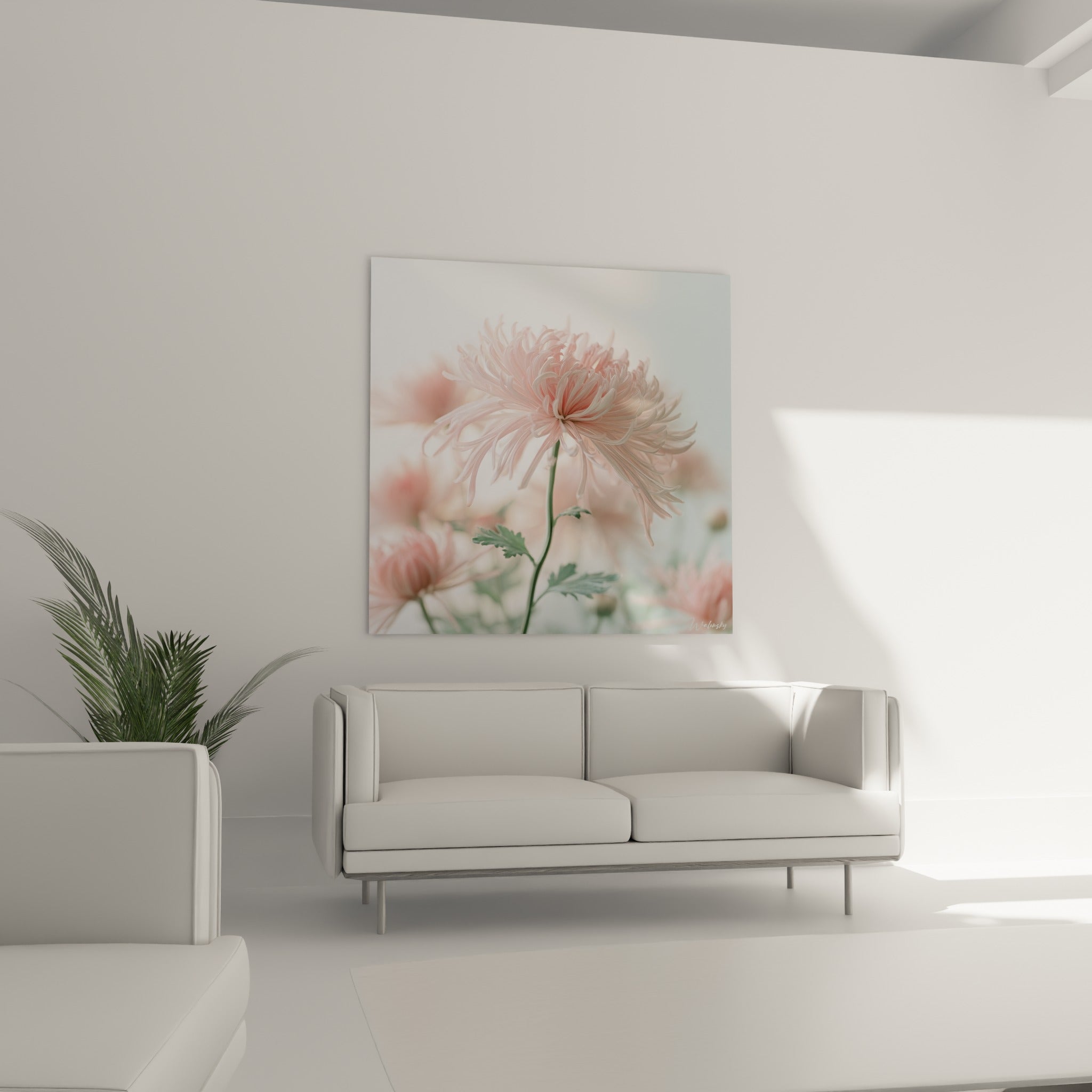 Chrysanthème rose et vert sauge aux volutes délicates au-dessus d'un canapé dans un salon lumineux