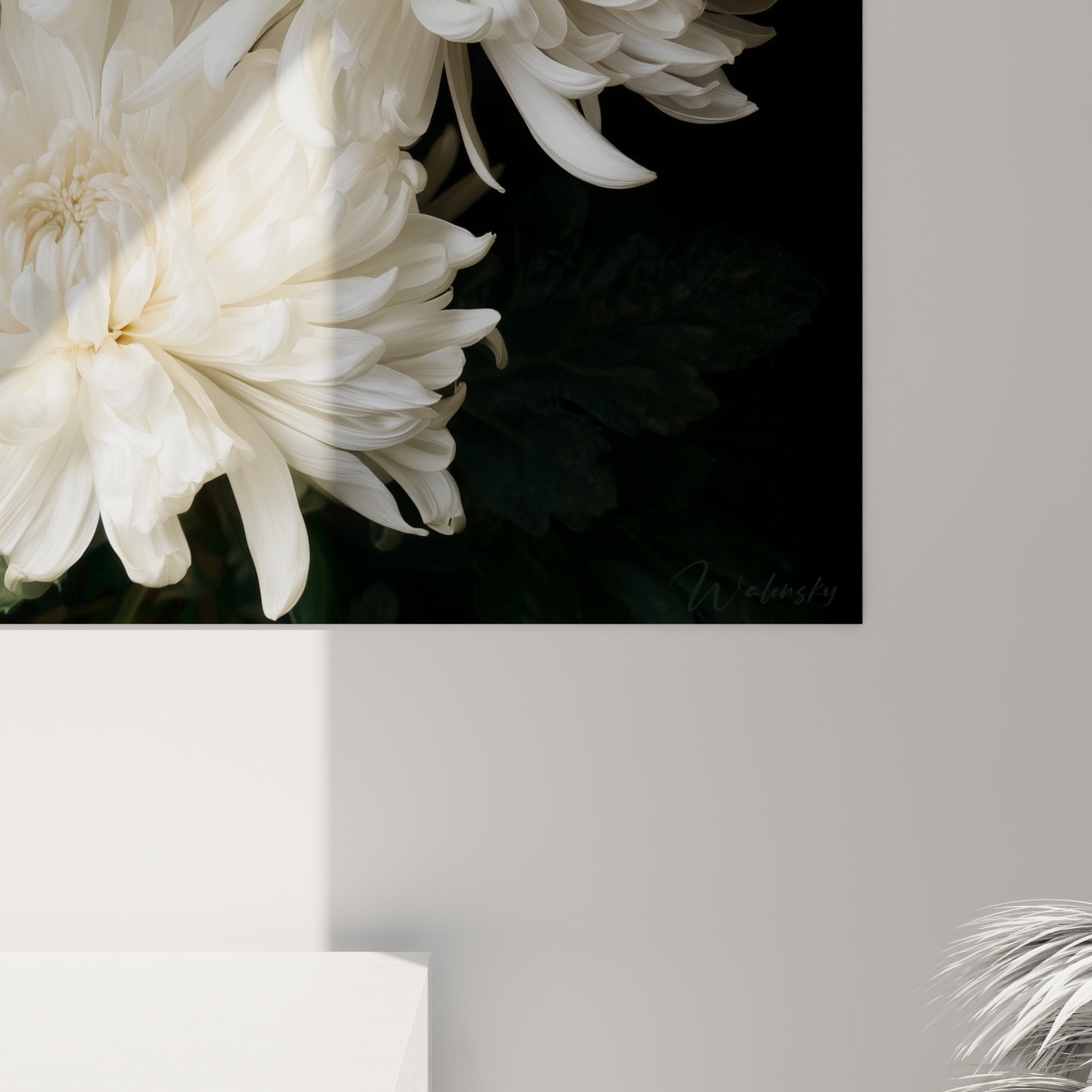 Pétales de chrysanthème ivoire finement striés, grain soyeux et nuances crème dorées visibles de près