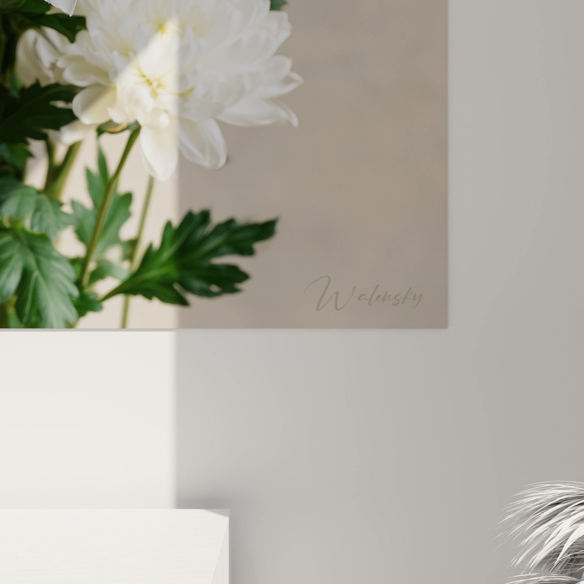 Pétales de chrysanthème blanc en gros plan, texture veloutée et nuances crème sur fond beige structuré