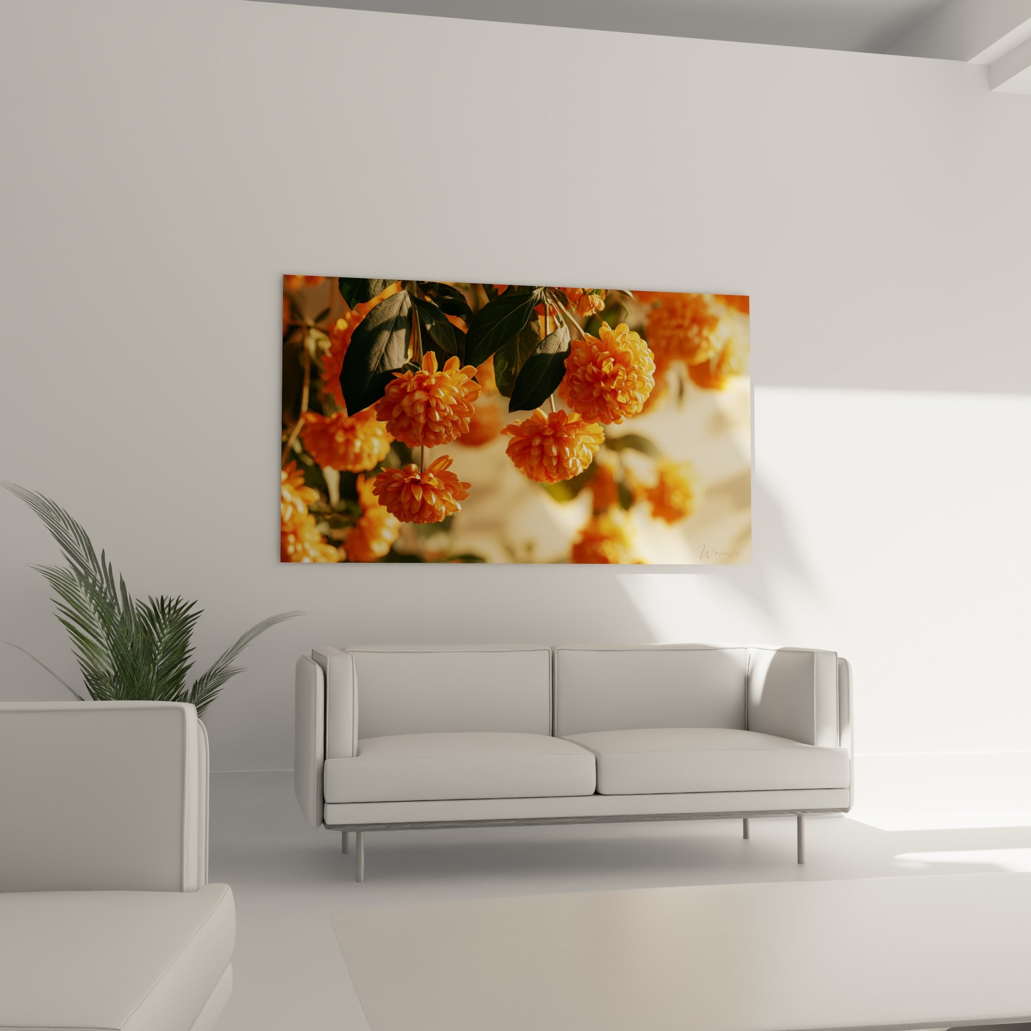 Pompons de chrysanthème orange vif et ocre au-dessus d'un canapé dans un salon lumineux