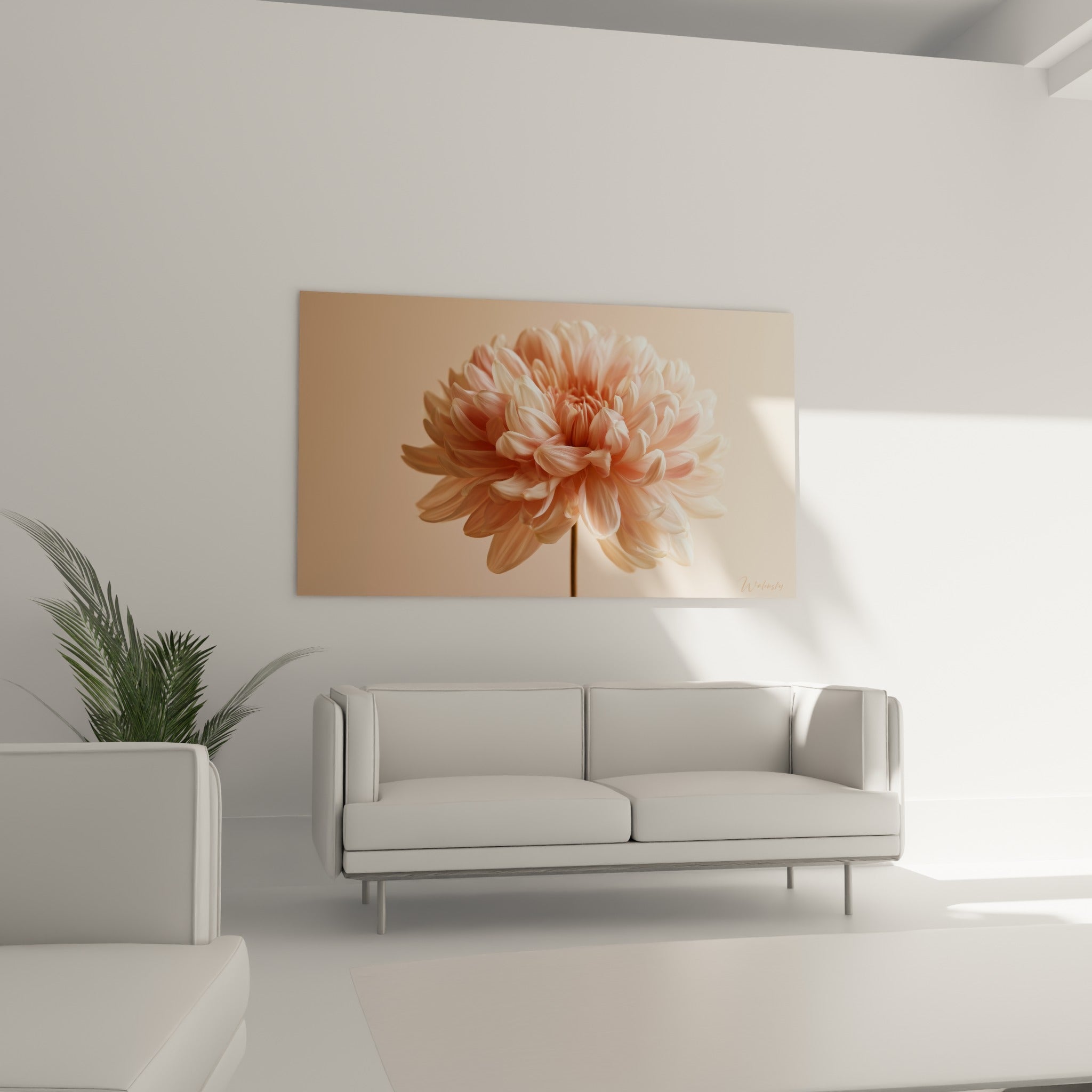 Pétales de chrysanthème rose et blanc crème, au-dessus d'un canapé dans un salon lumineux
