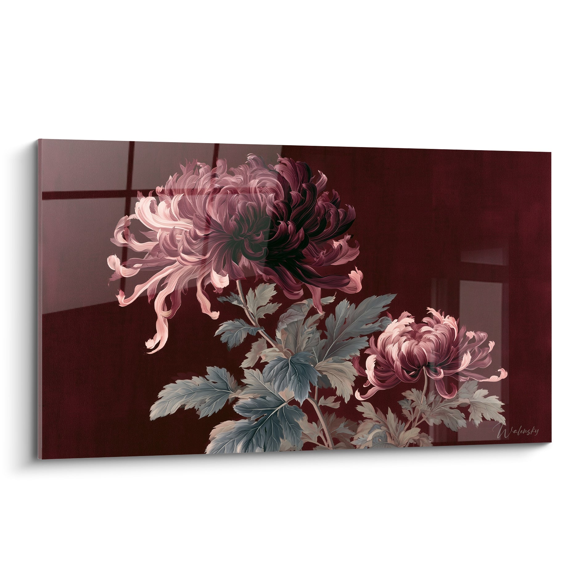 Chrysanthème aux pétales rose poudré et bordeaux sombre déployés sur fond laqué profond