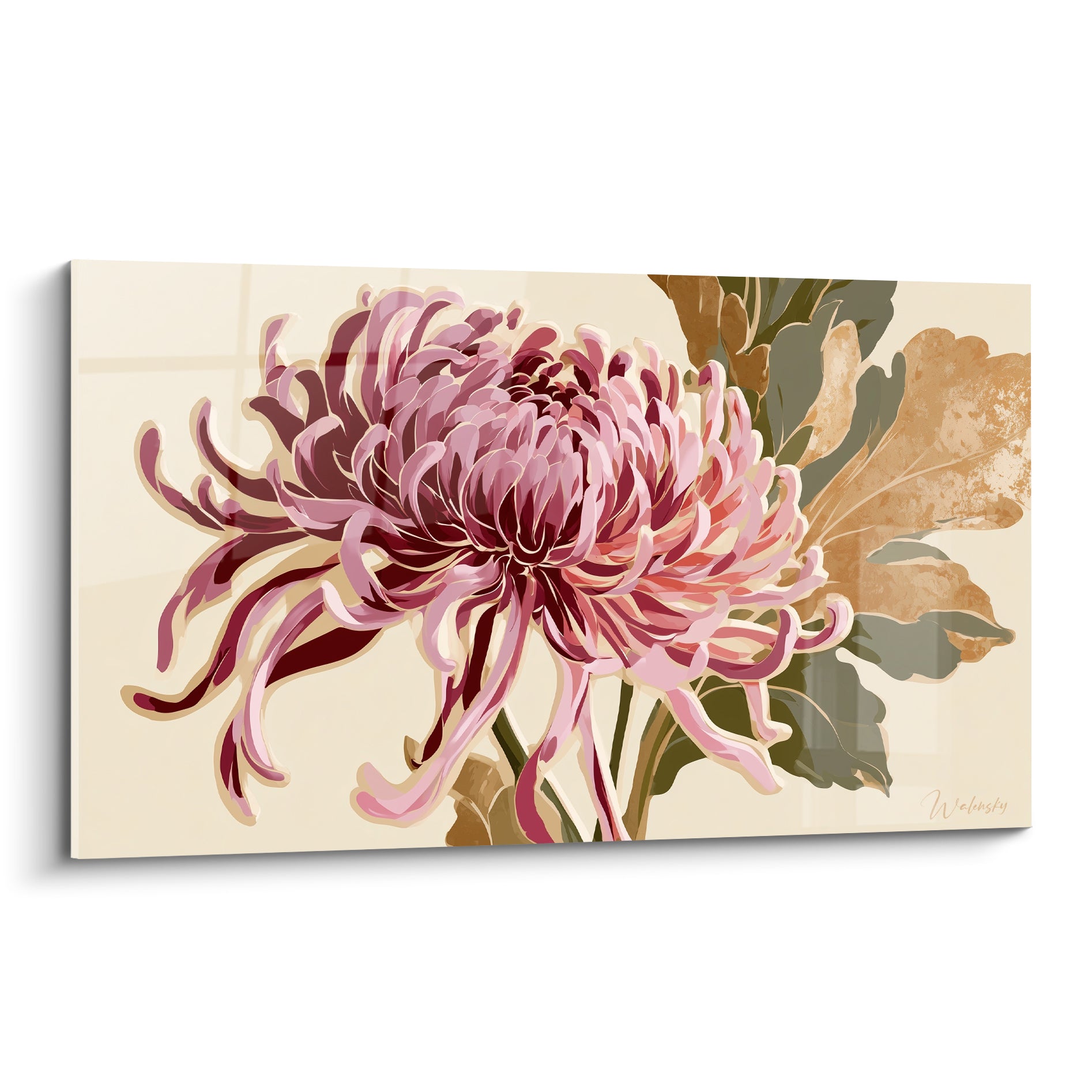 Chrysanthème rose et bordeaux aux pétales déployés sur fond ivoire, style graphique épuré