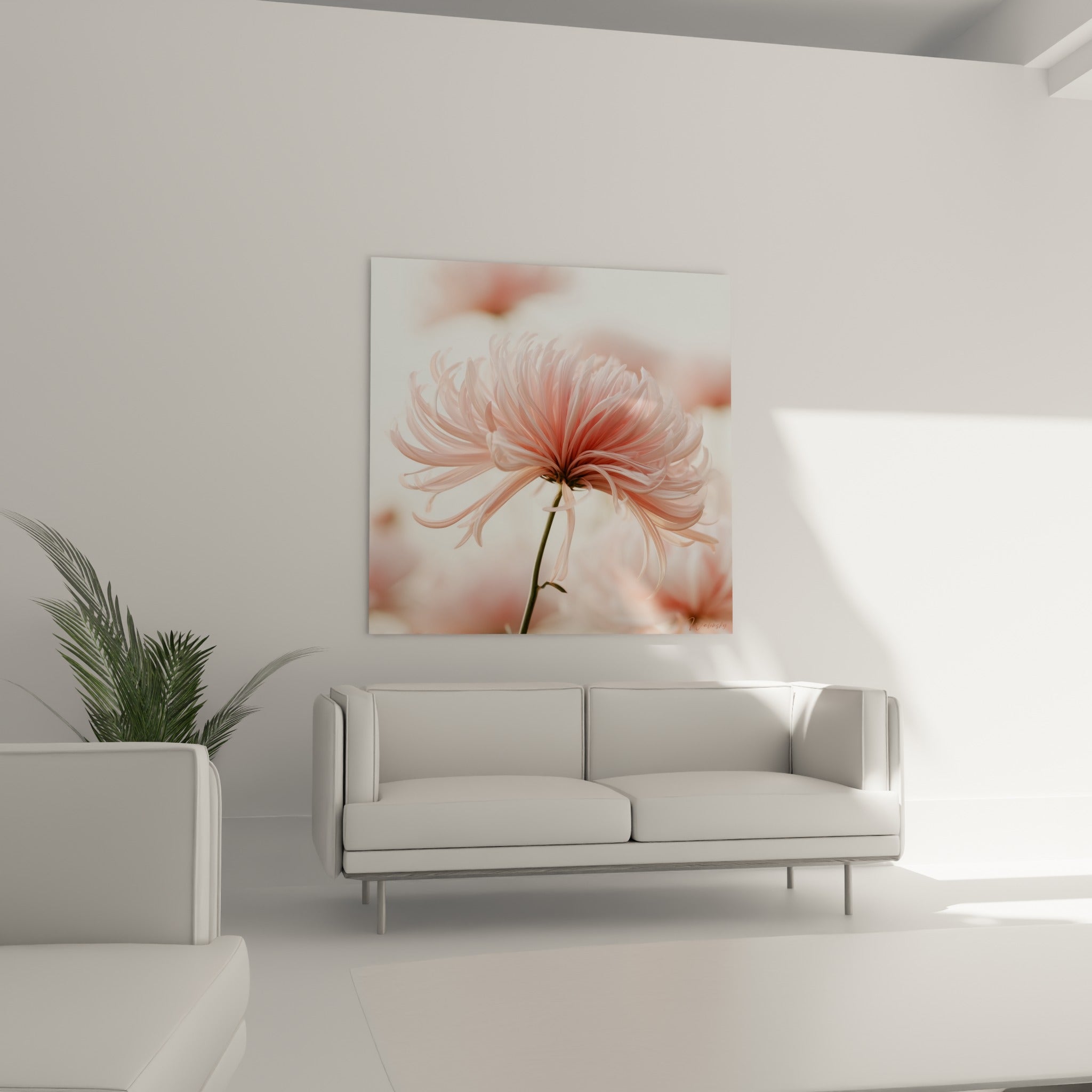 Fleur de chrysanthème rose poudré et crème accrochée au-dessus d'un canapé dans un salon lumineux