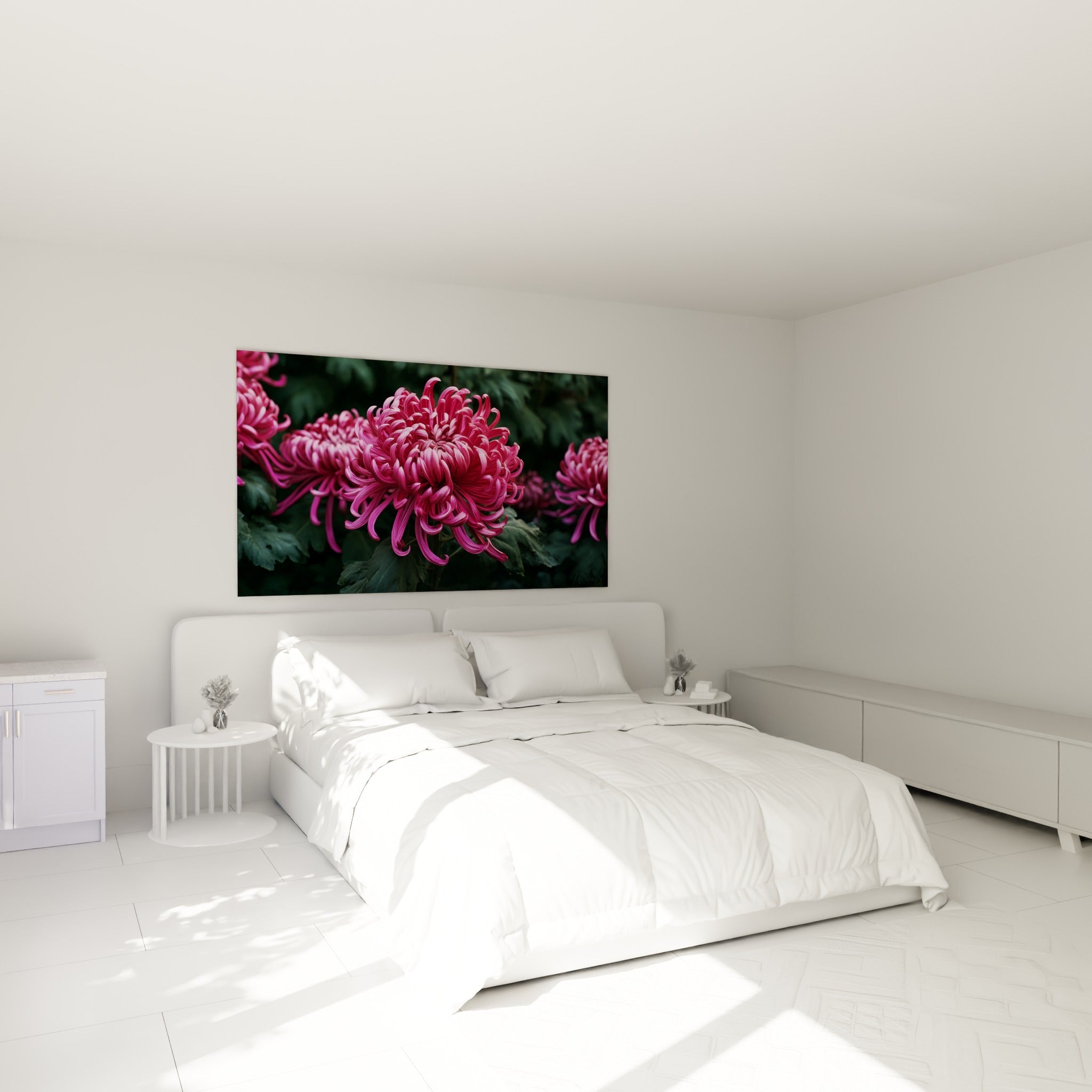 Pétales roses et fuchsia du chrysanthème accrochés au-dessus d'un lit dans une chambre claire