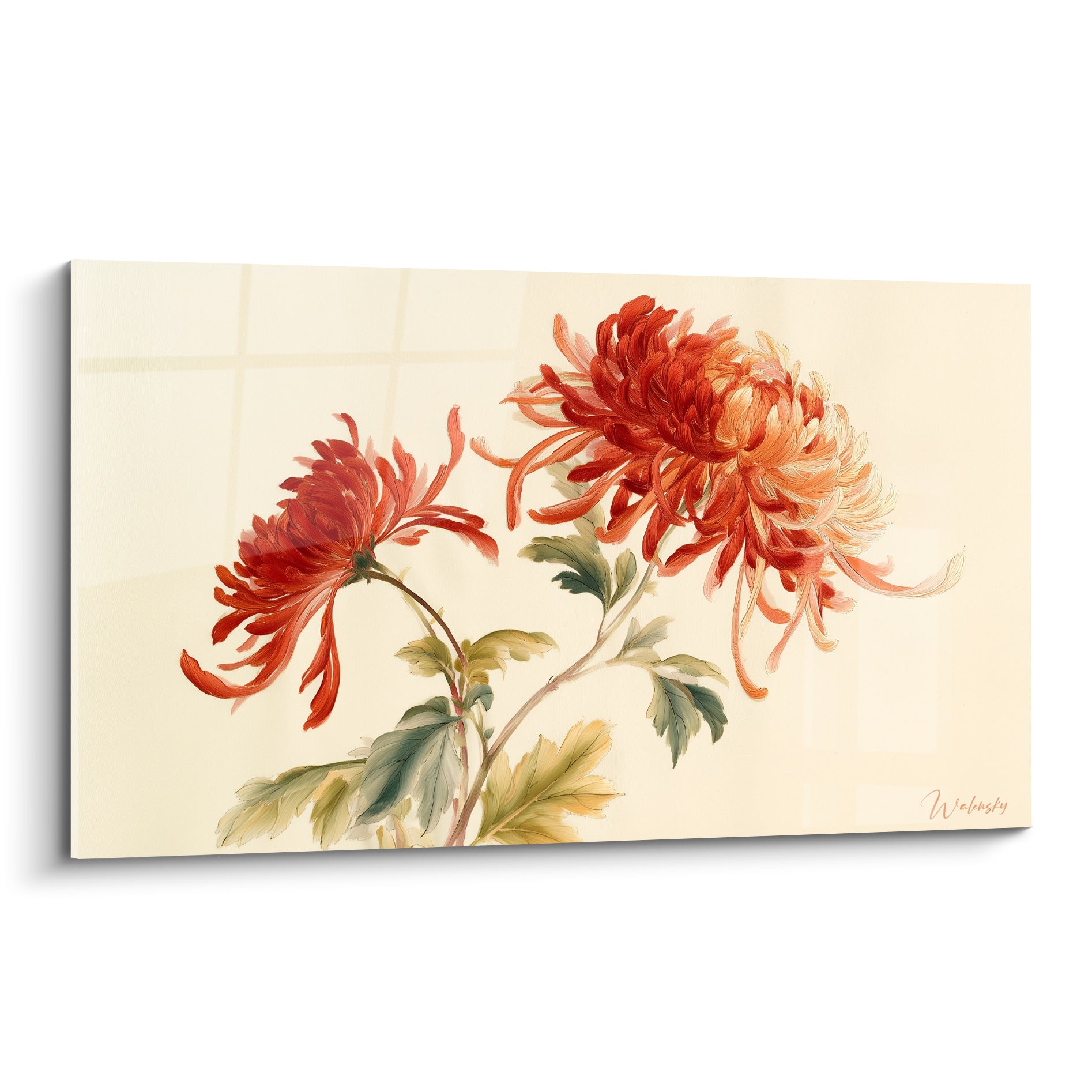 Chrysanthème rouge et orangé aux pétales effilés sur fond ivoire, peinture délicate et fluide
