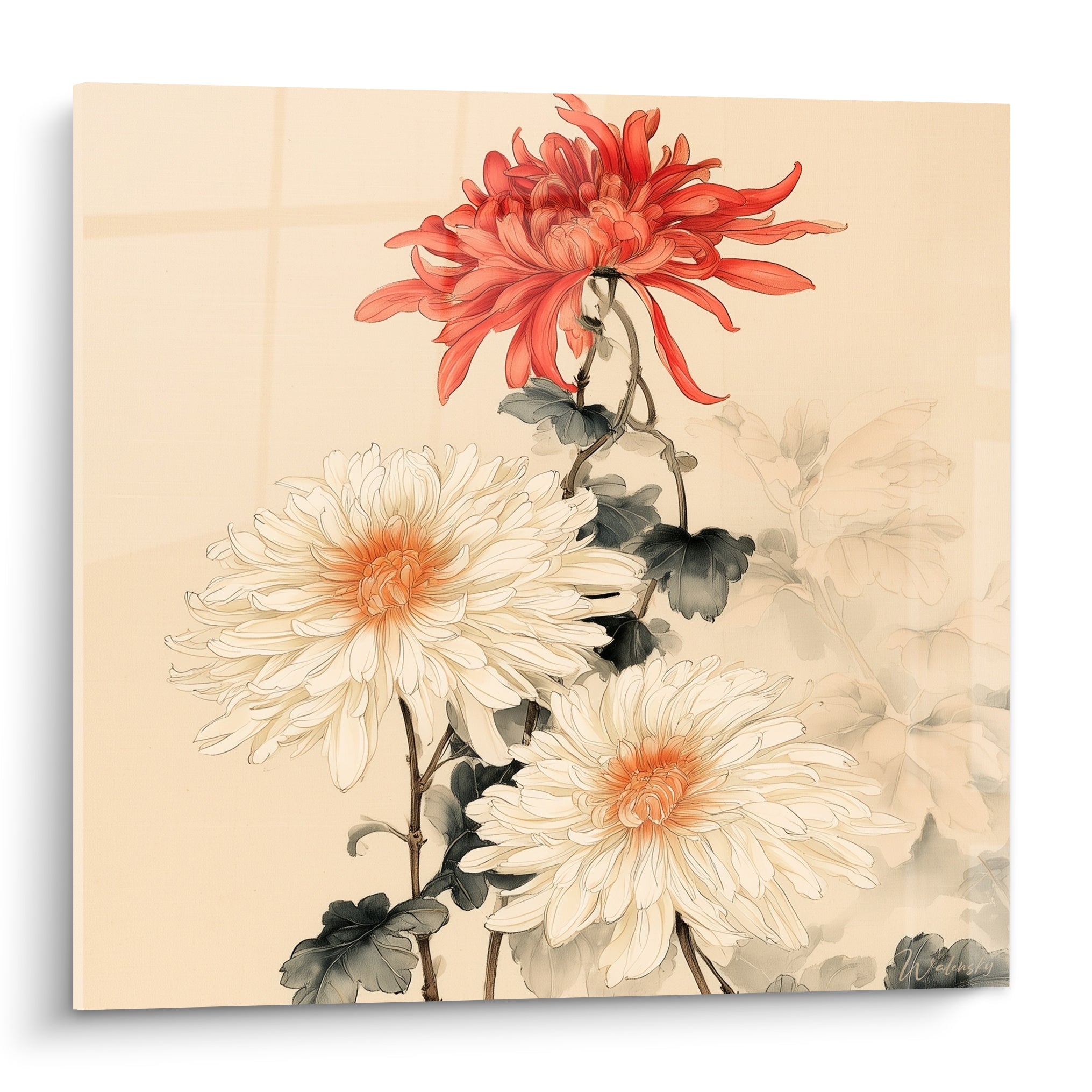 Chrysanthème rouge corail et ivoire aux pétales déployés sur fond beige délicat