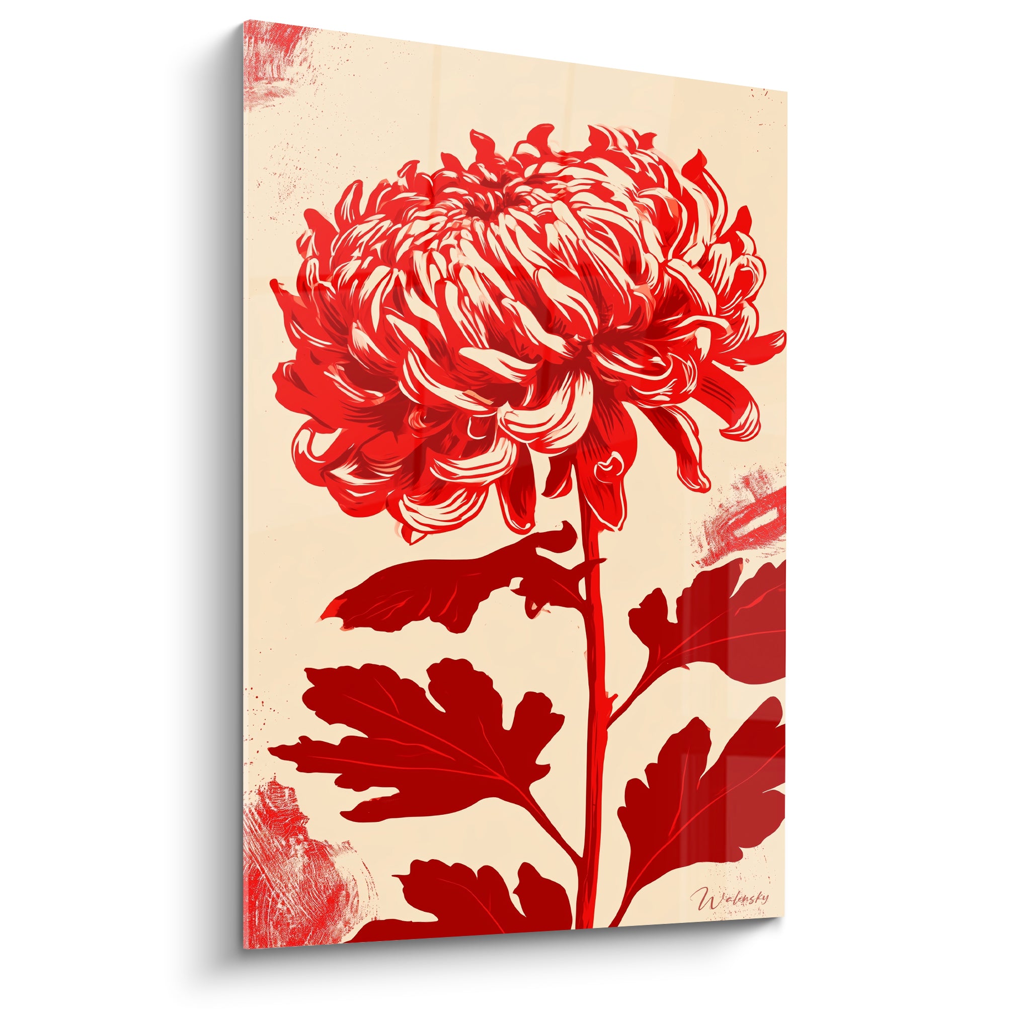 Chrysanthème rouge et blanc aux pétales sculptés, fleur unique sur fond ivoire éclaboussé