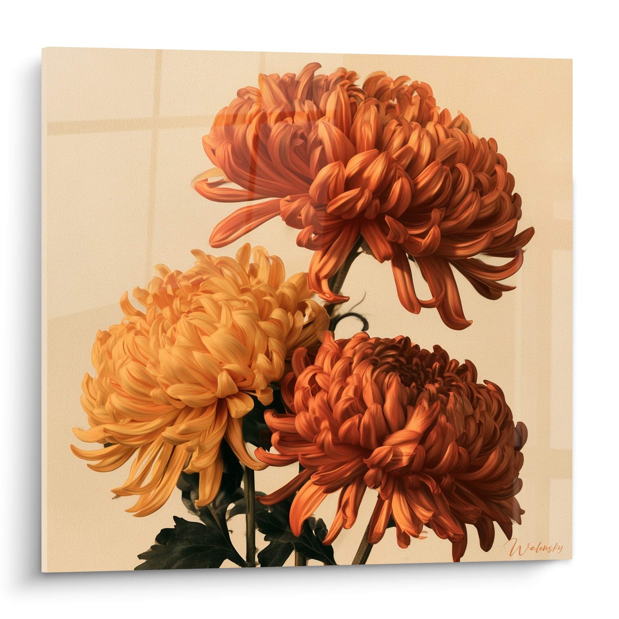 Chrysanthème aux pétales terracotta et dorés déployés sur fond crème quadrillé