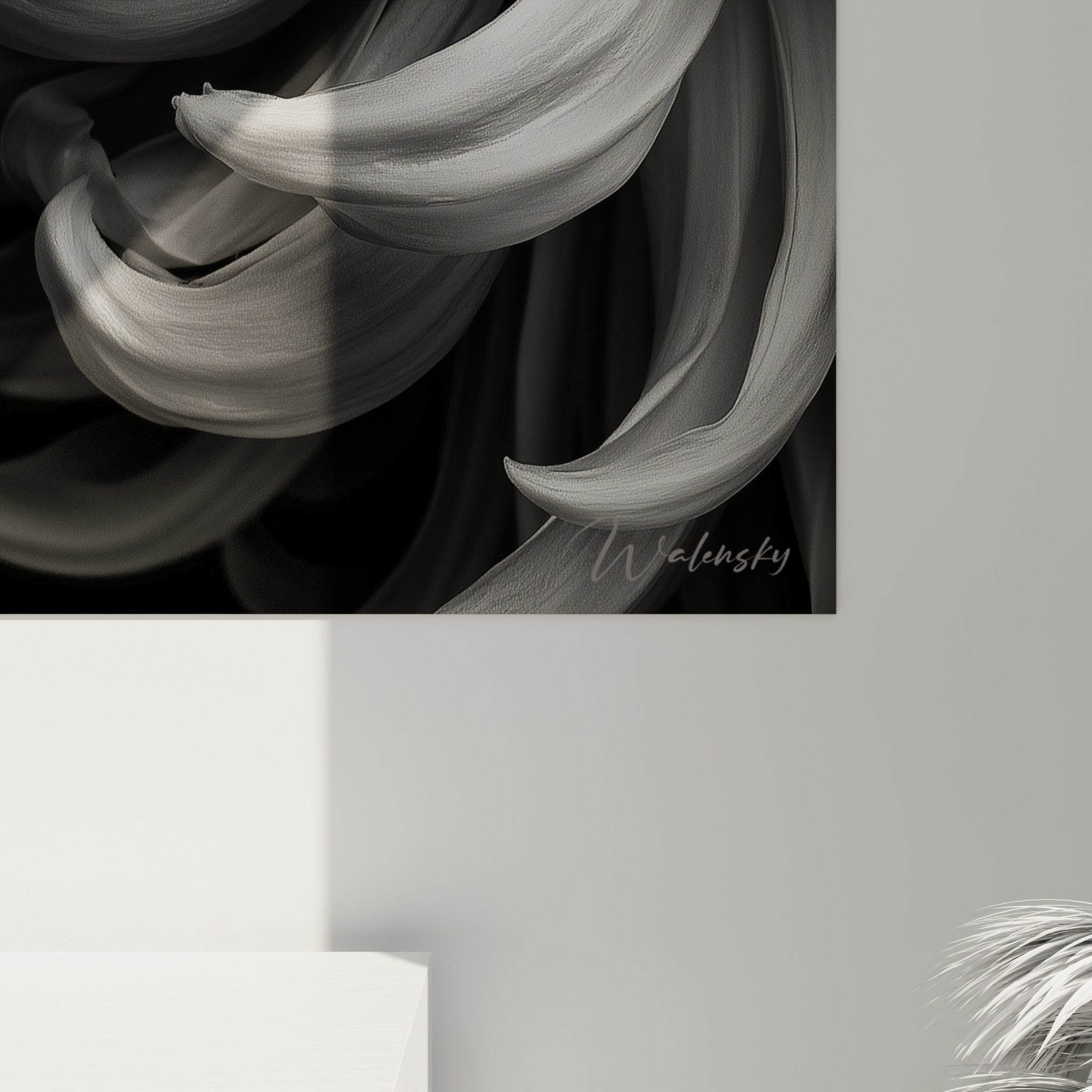 Grain et reflets argentés des pétales du Chrysanthème, dégradés de gris et de blanc se touchant en surface brillante