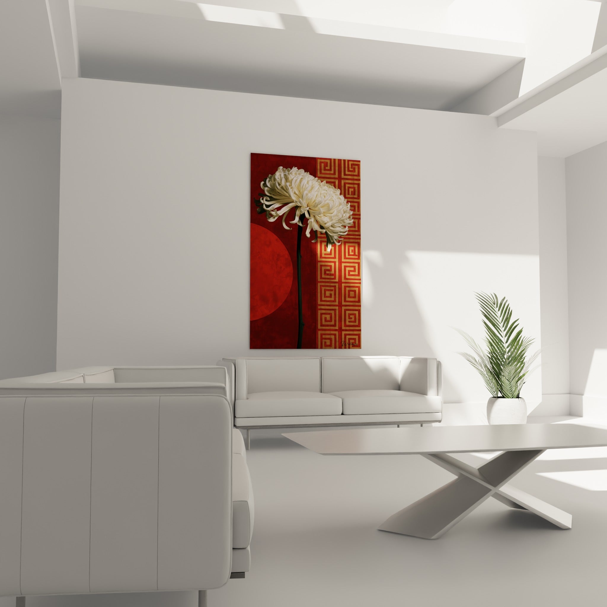 Pétales blancs de chrysanthème contrastant avec un disque rouge au-dessus d'un canapé dans un salon lumineux