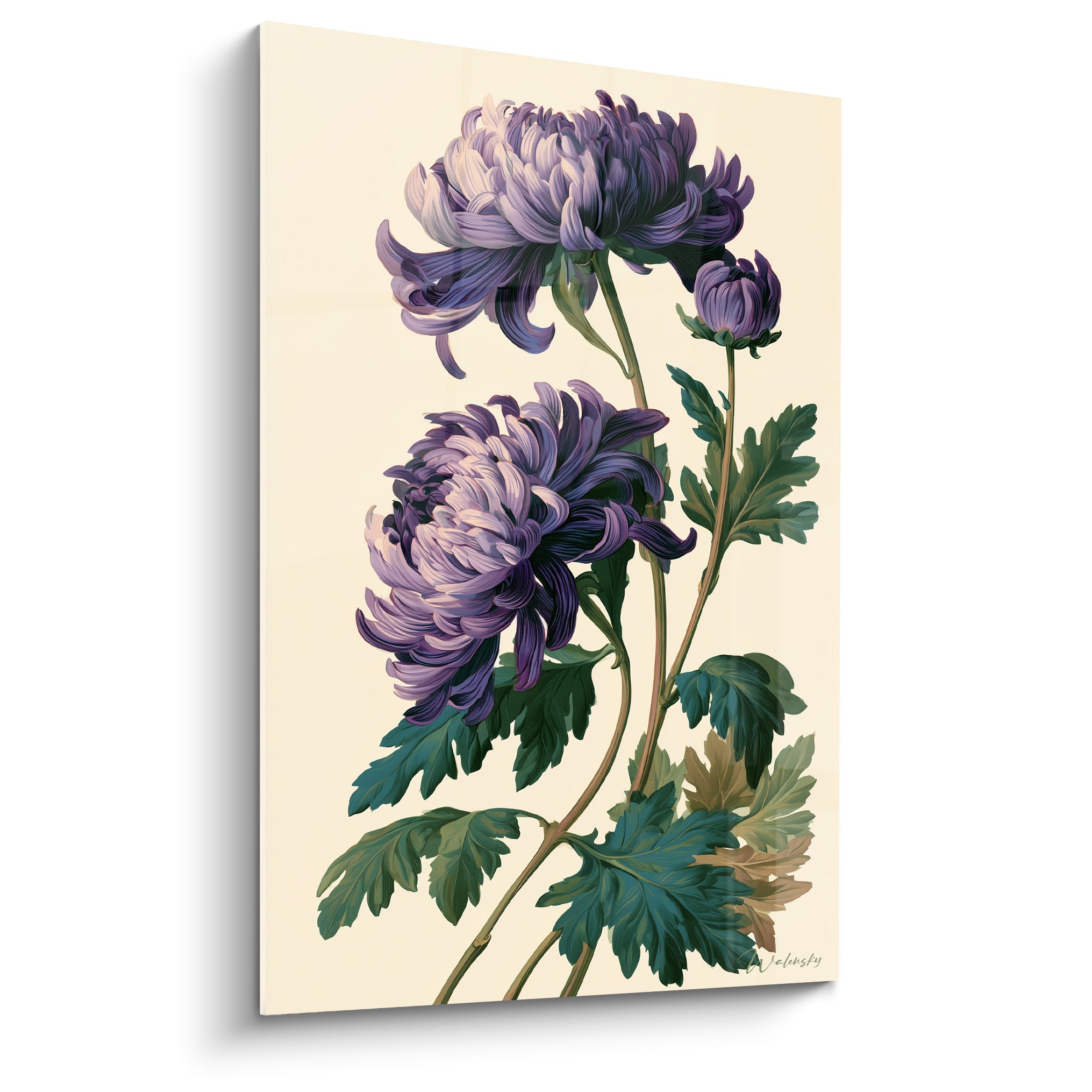Chrysanthème violet aux pétales enroulés, fond crème, illustration botanique détaillée et raffinée.