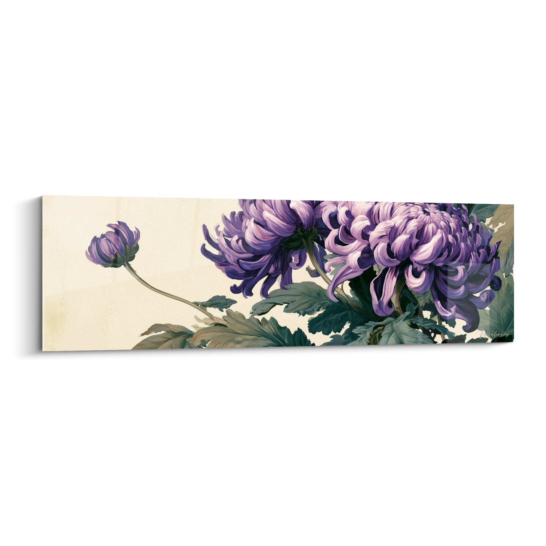 Chrysanthème violet aux pétales recourbés, fond ivoire, feuillage vert sauge en aquarelle délicate