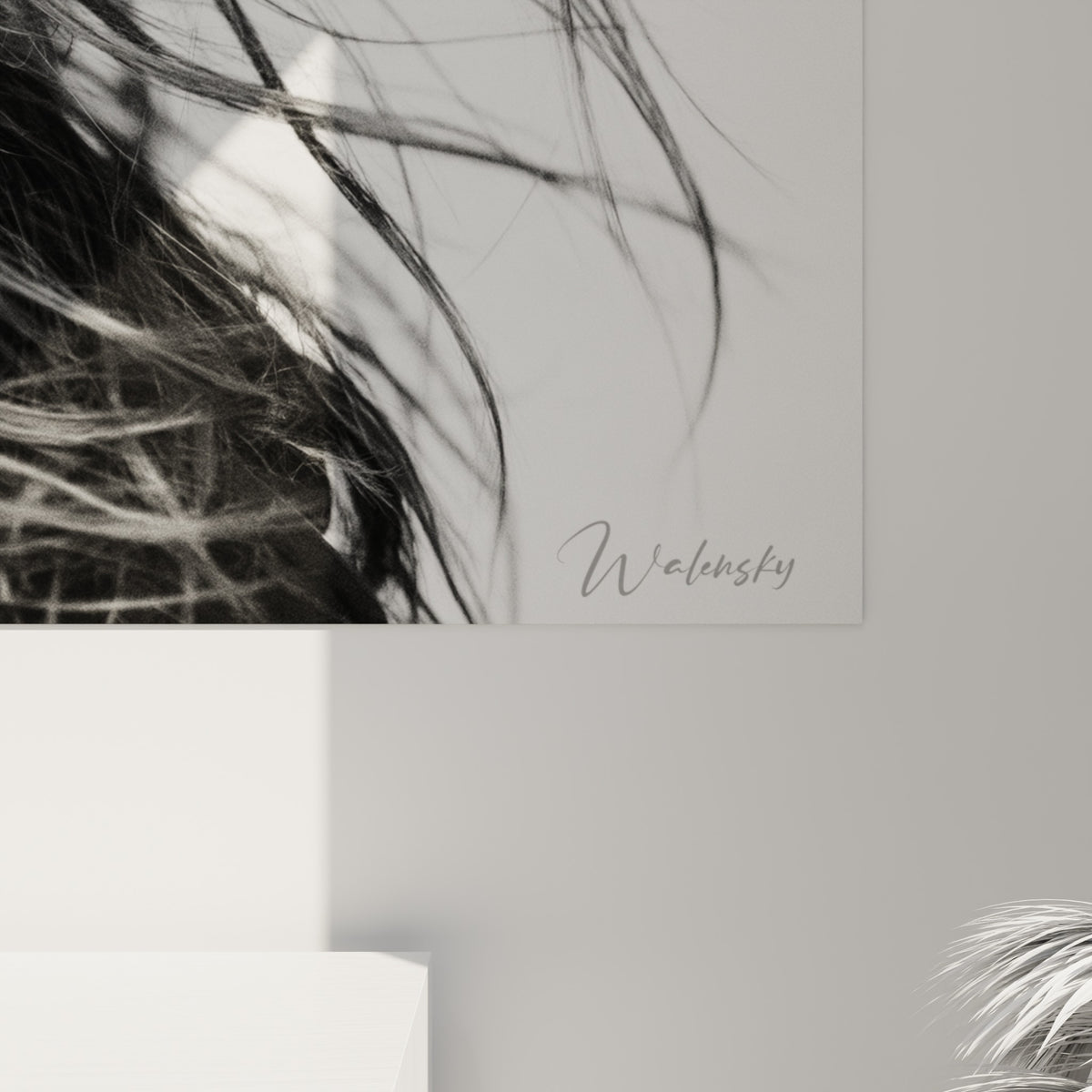 Mèches noires texturées de cette coiffure, grain photographique et nuances de gris visibles de près