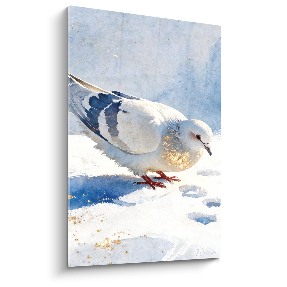 Colombe blanche aux ailes bleu marine avançant sur une neige dorée et lumineuse