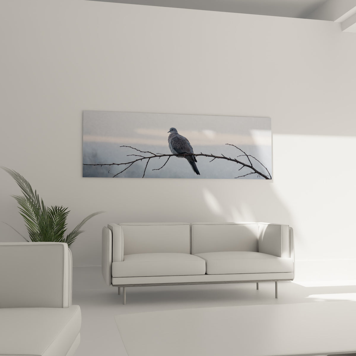 Oiseau gris perle perché sur une branche fine, au-dessus d'un canapé dans un salon lumineux