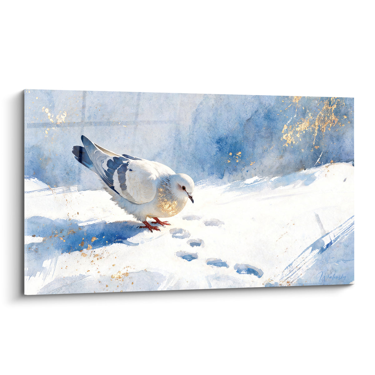Colombe blanche et bleu marine marchant sur la neige, empreintes dorées et fraîches visibles
