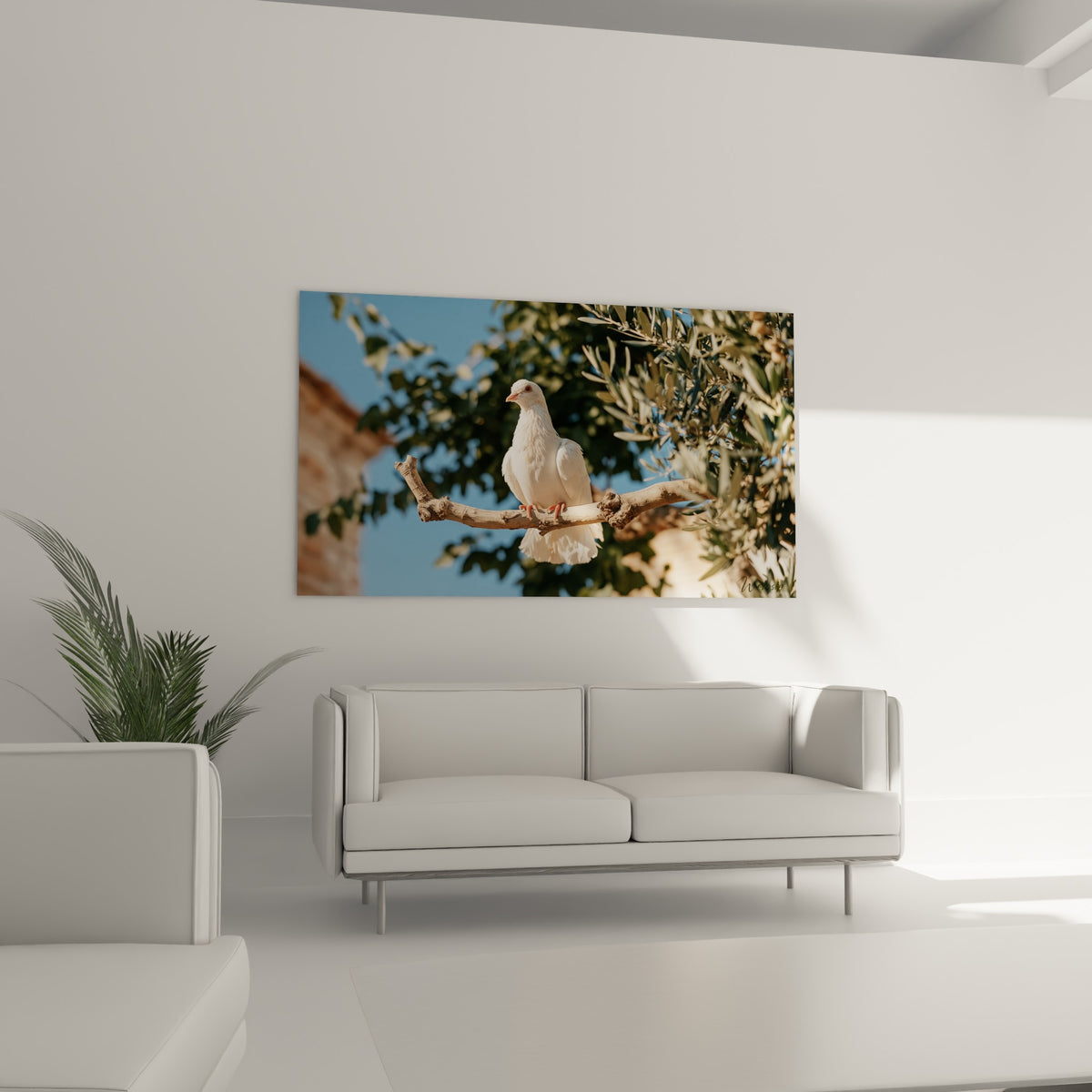 Plumage blanc et bec rosé de la colombe détaillés, accrochés au-dessus d'un canapé dans un salon lumineux