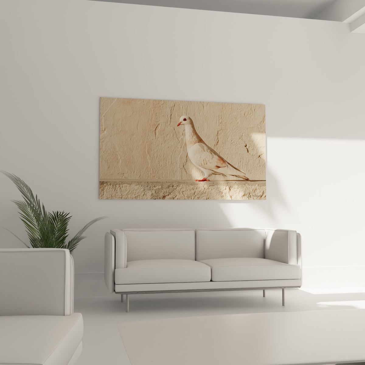 Colombe crème et terracotta perchée avec pattes rouges, tableau au-dessus d'un canapé dans un salon lumineux