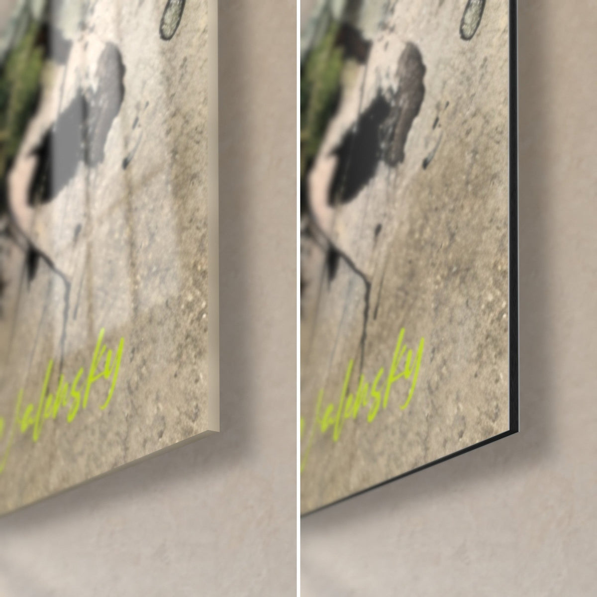 Wall art turtle dove with grey and black plumage, bottom right corner: glossy glass on the left, matte Dibond on the right, 3 mm edge