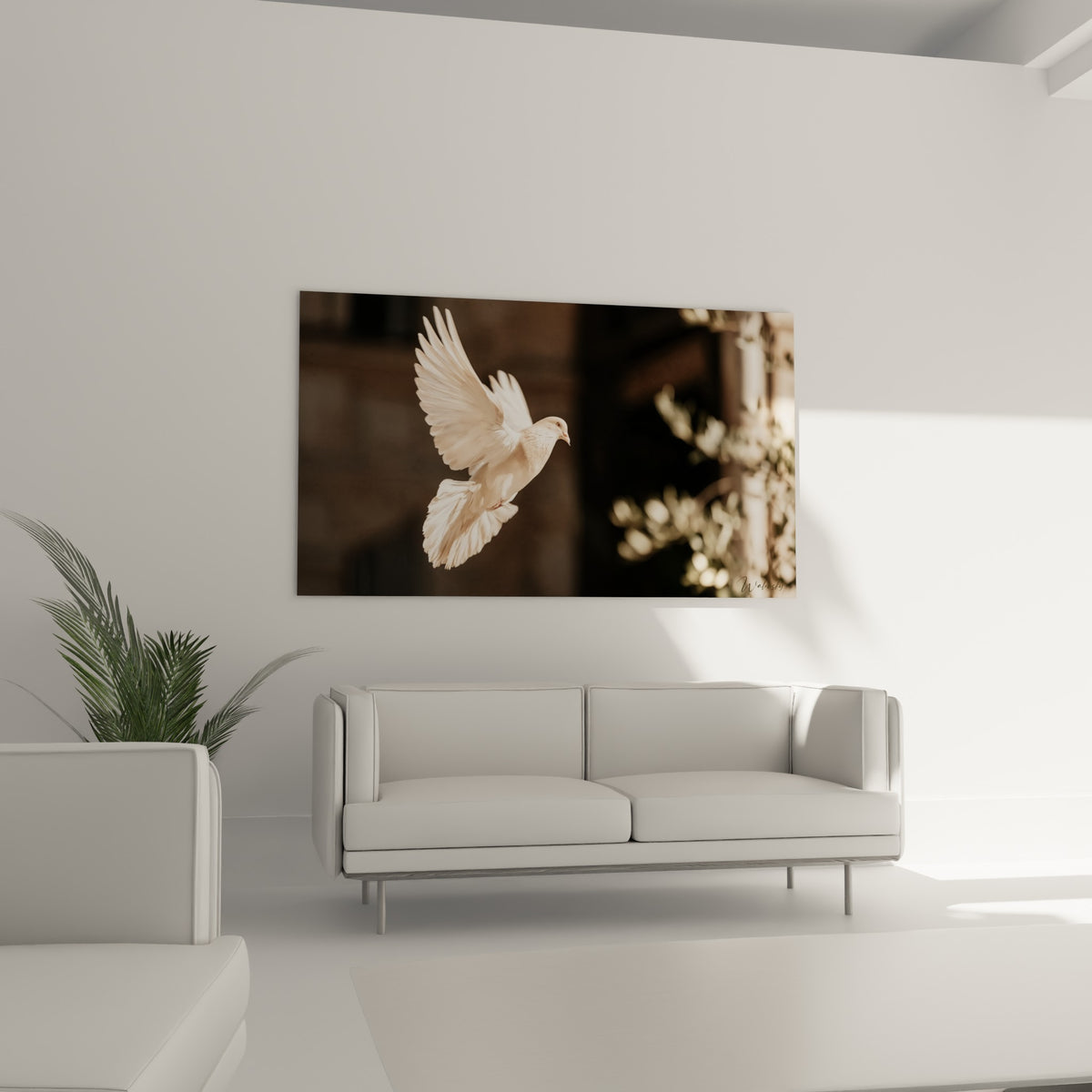 Plumage beige et brun de la colombe en mouvement au-dessus d'un canapé dans un salon lumineux