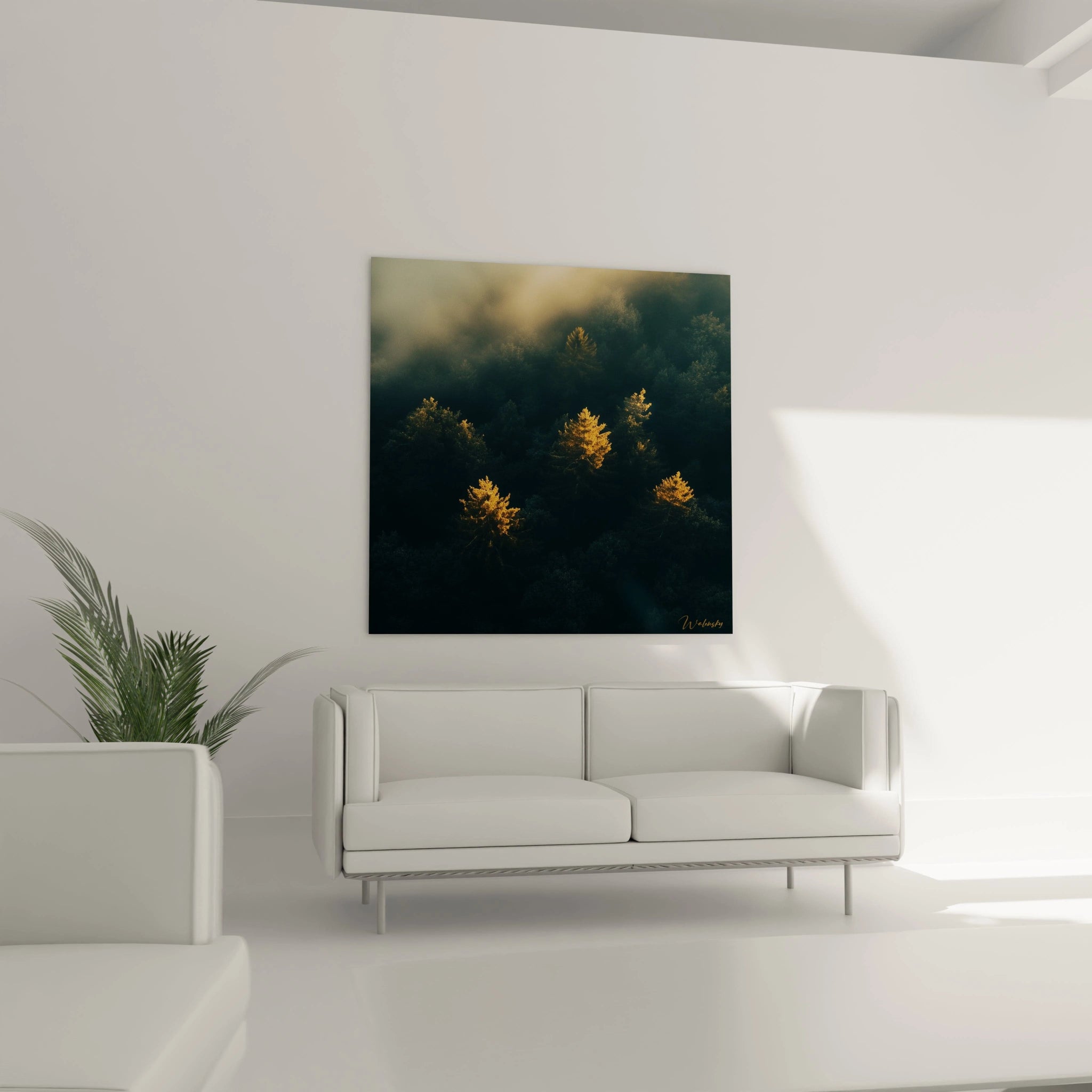 Tableau forêt Walensky représentant des arbres éclairés au soleil dans une pièce moderne avec canapé blanc