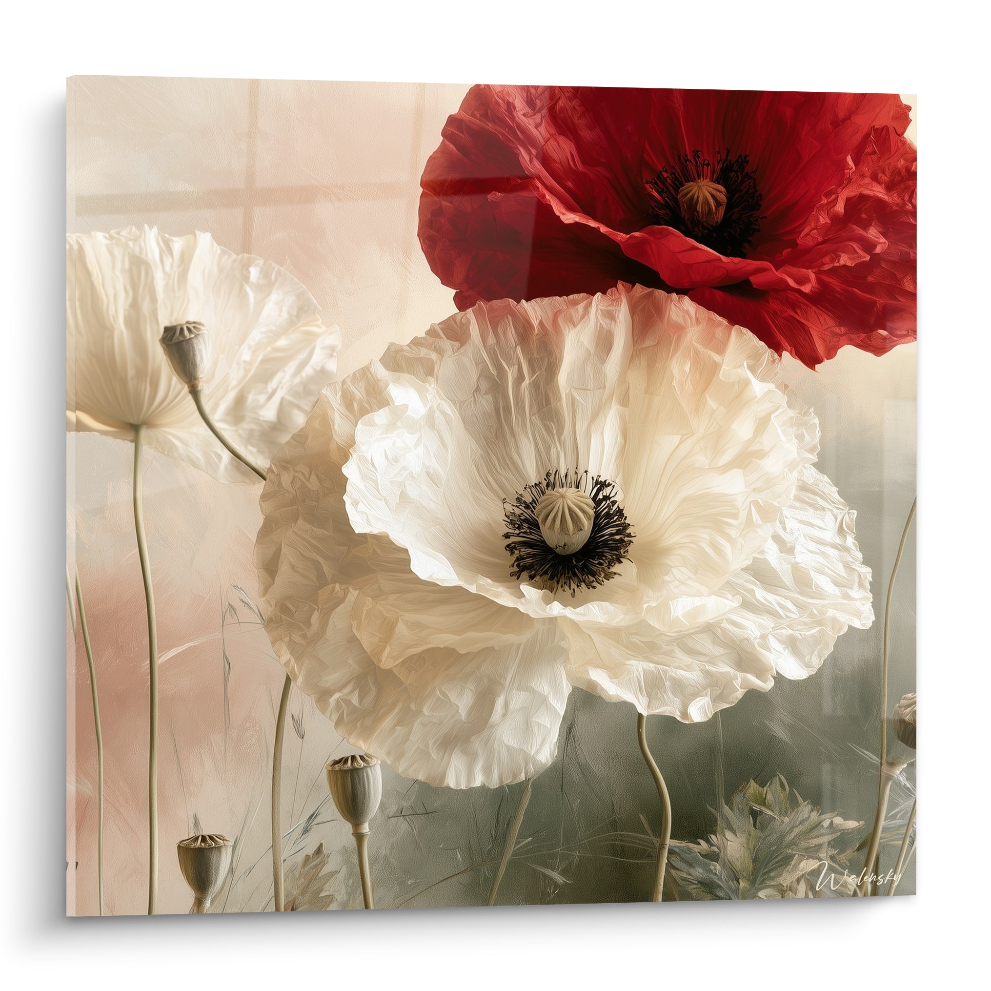 Coquelicot blanc ivoire aux pétales froissés et coquelicot rouge carmin sur fond beige rosé estompé