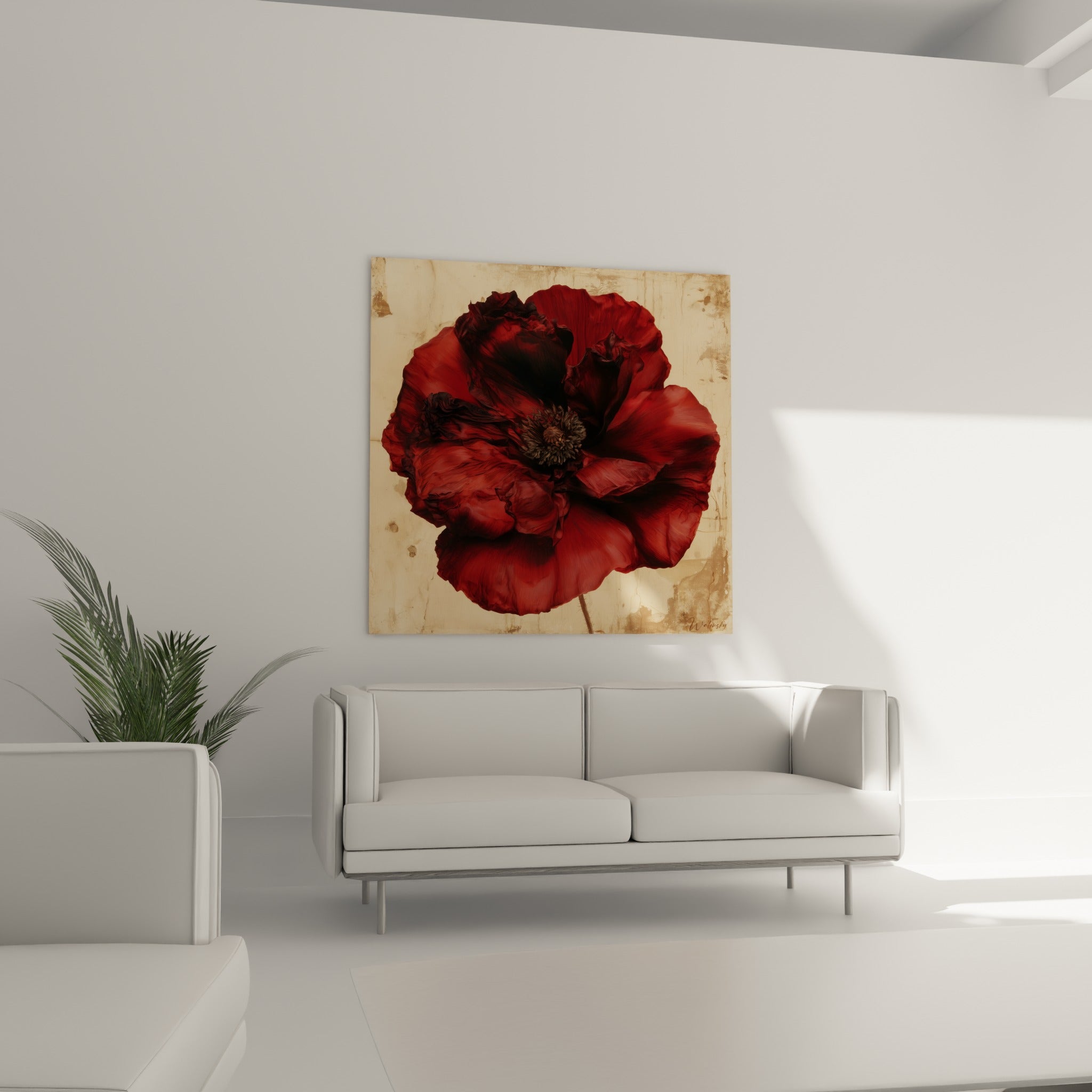 Pétales rouge bordeaux du coquelicot suspendus au-dessus d'un canapé dans un salon lumineux