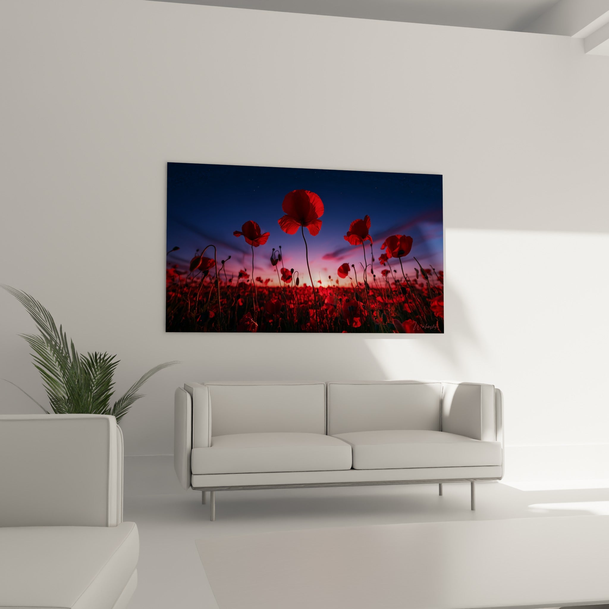 Fleurs de coquelicot rouge vif se découpant sur un ciel bleu marine, disposées au-dessus d'un canapé dans un salon lumineux