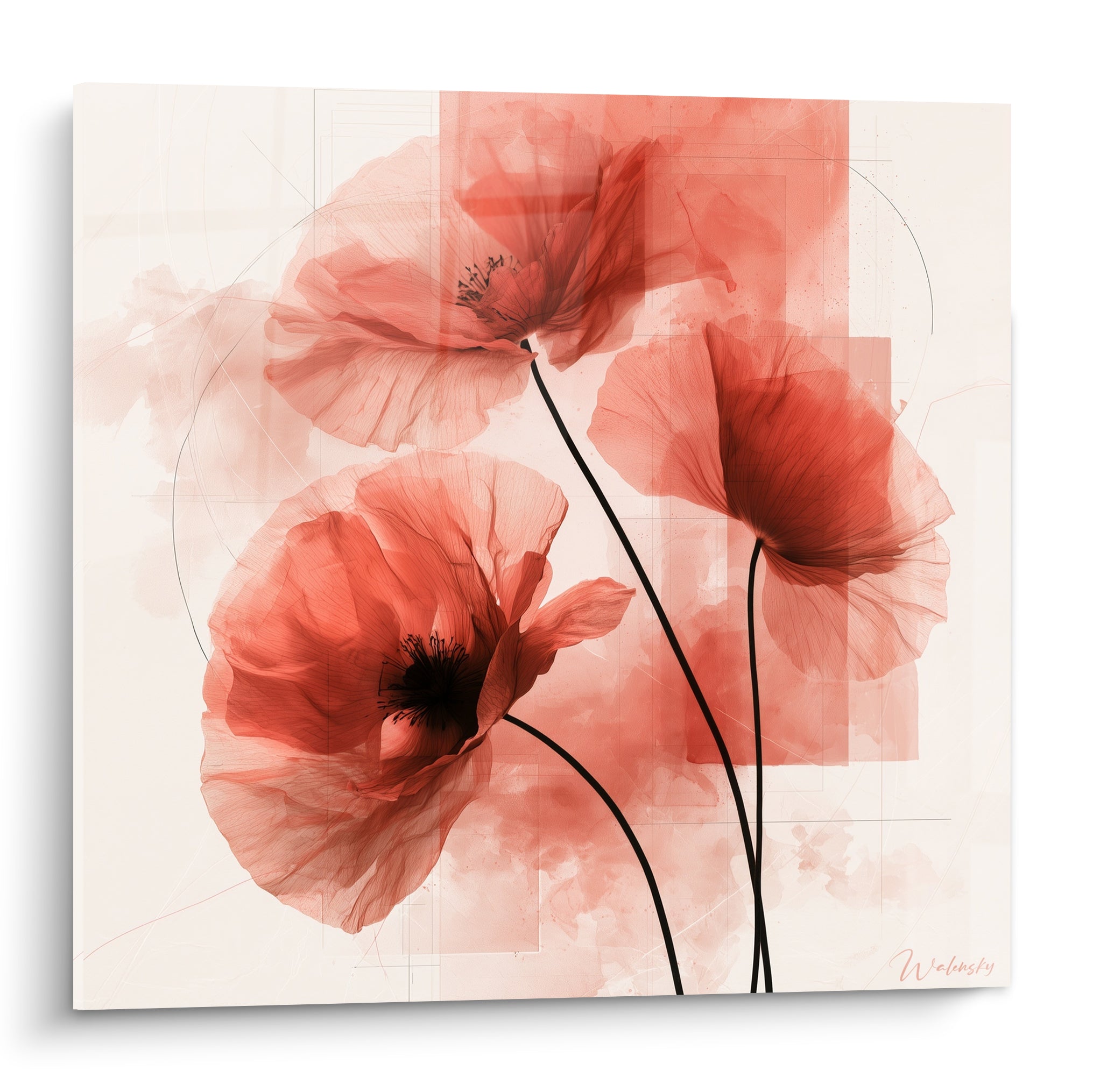 Coquelicots corail translucides aux tiges noires fines sur fond ivoire, style aquarelle raffiné