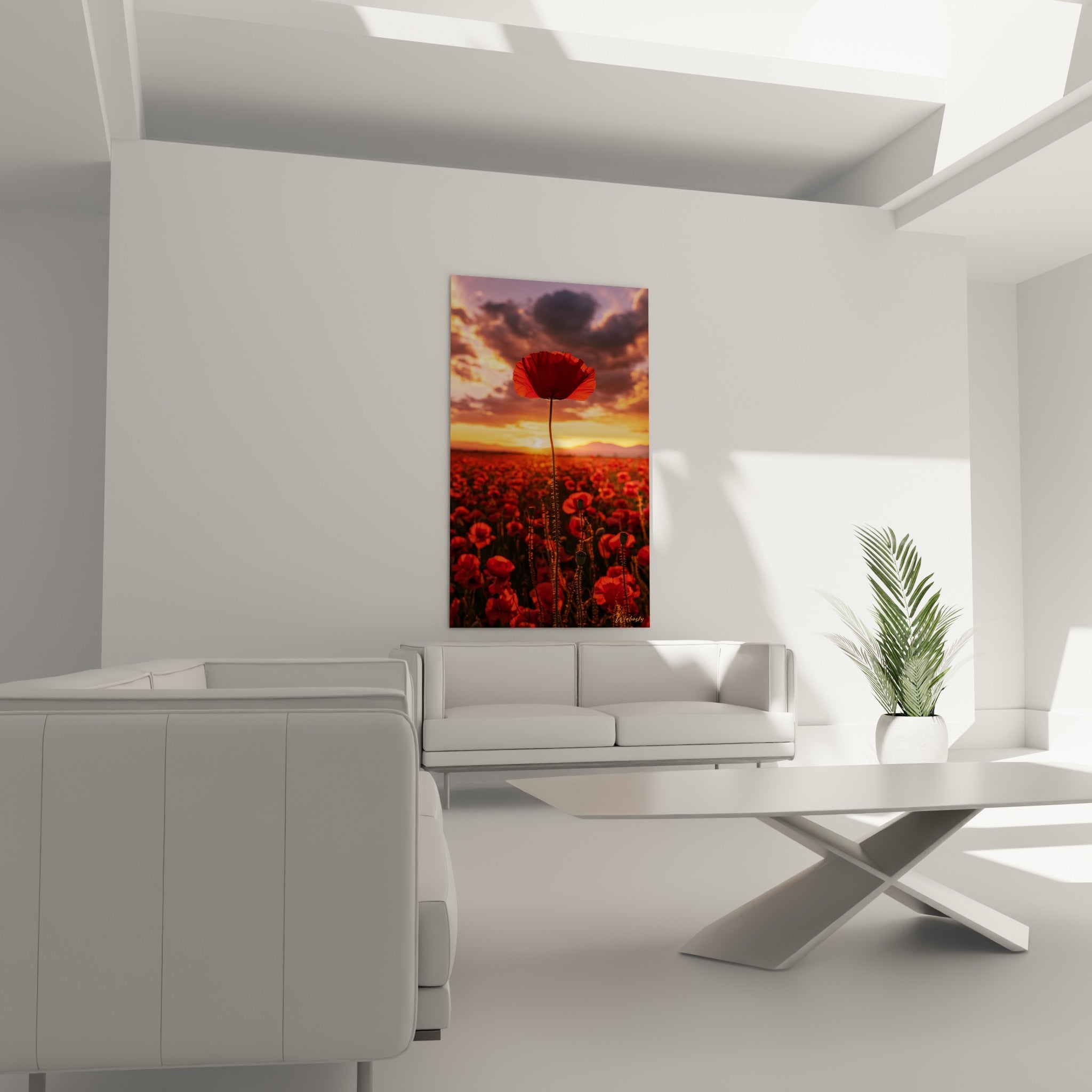 Pétales rouges du coquelicot illuminés par un soleil doré, au-dessus d'un canapé dans un salon lumineux