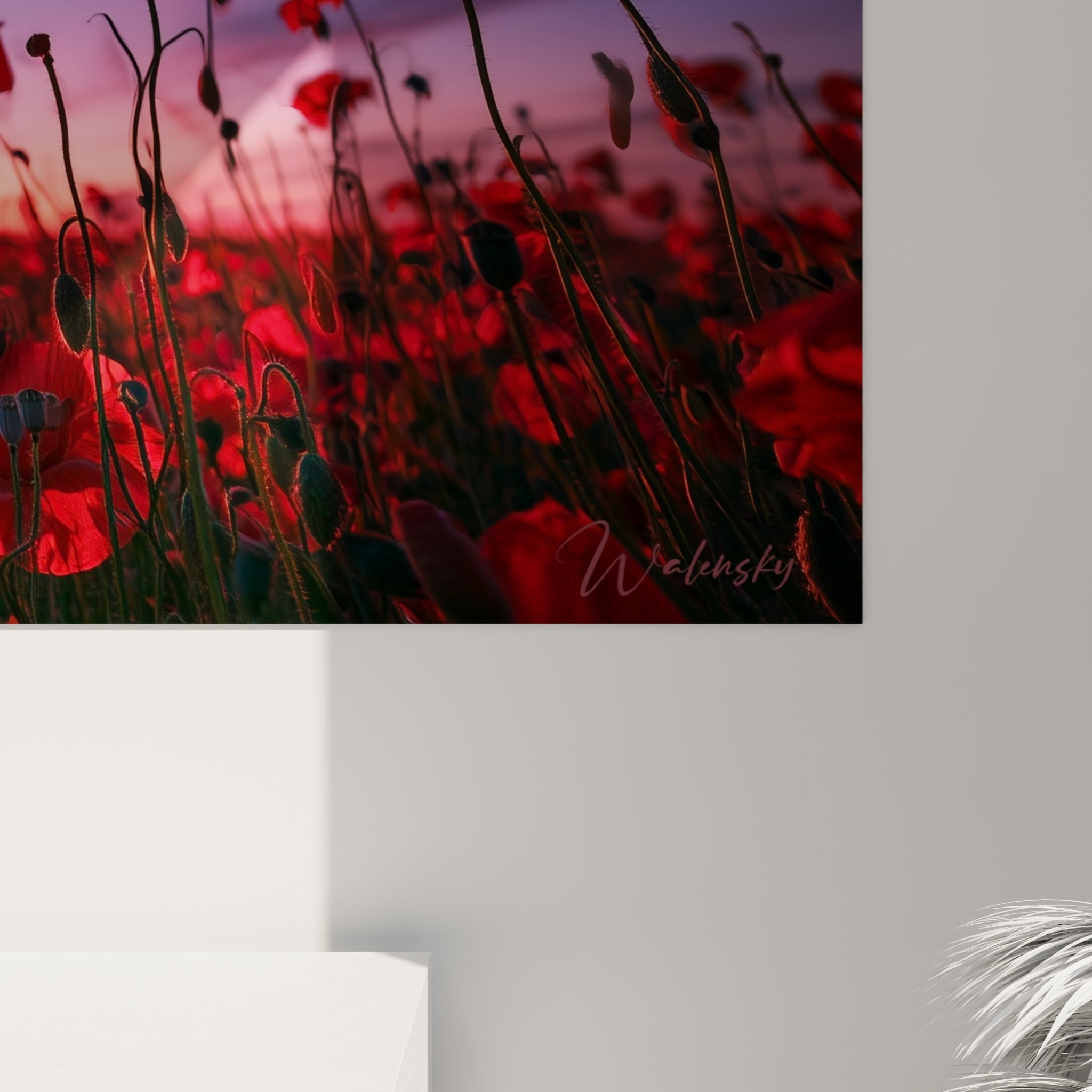 Pétales de coquelicot rouge translucide révélant leurs nervures fines, avec le grain de l'impression et les nuances de bleu et de rose