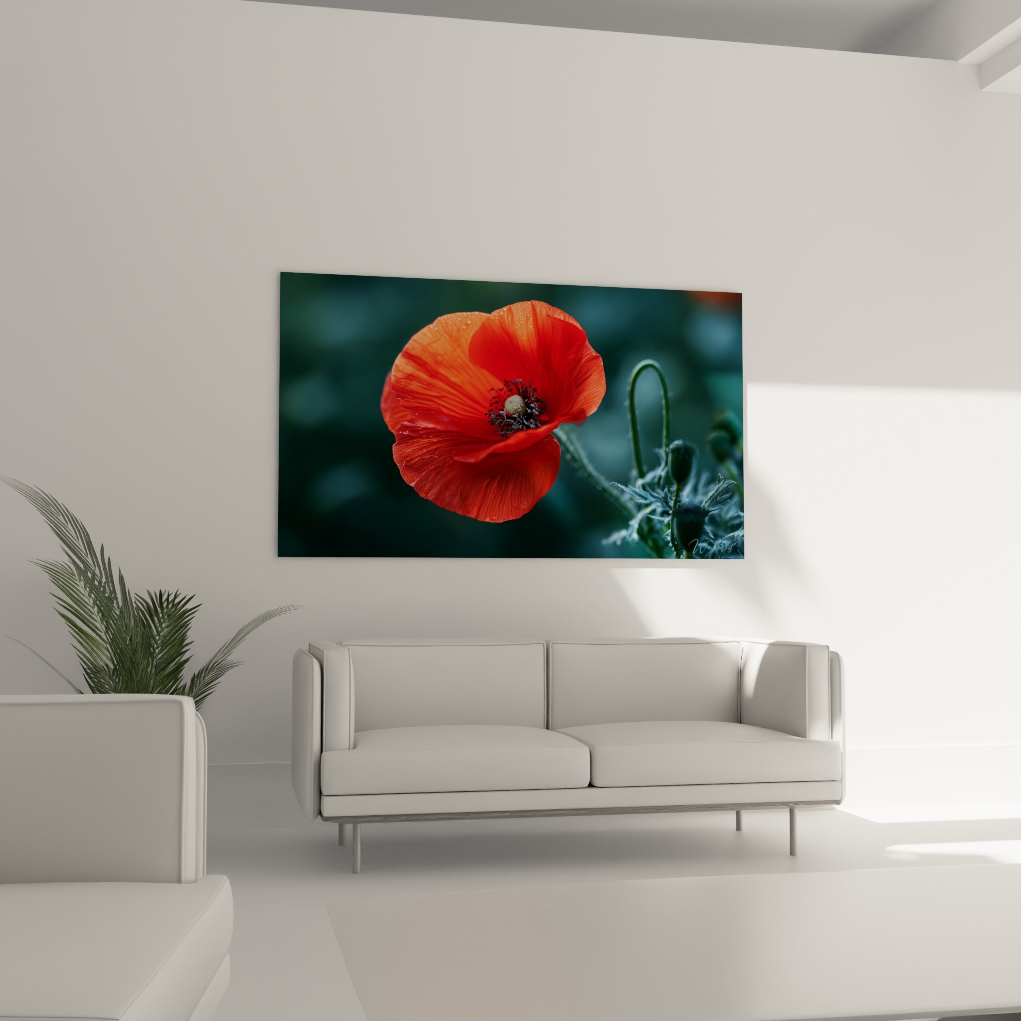 Fleur de coquelicot rouge vif au cœur anthracite, au-dessus d'un canapé dans un salon lumineux