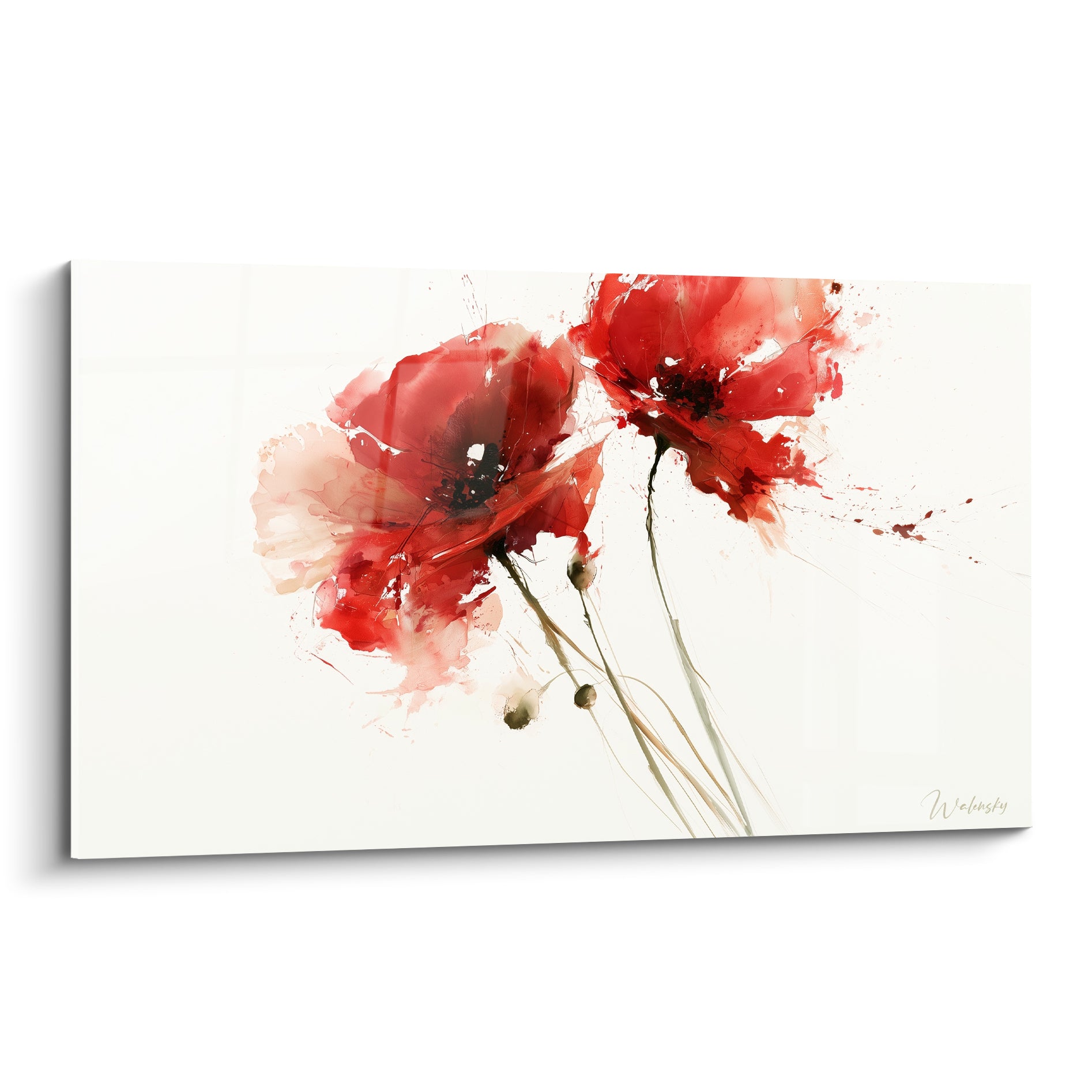 Coquelicots rouges en aquarelle avec éclaboussures roses sur fond blanc épuré