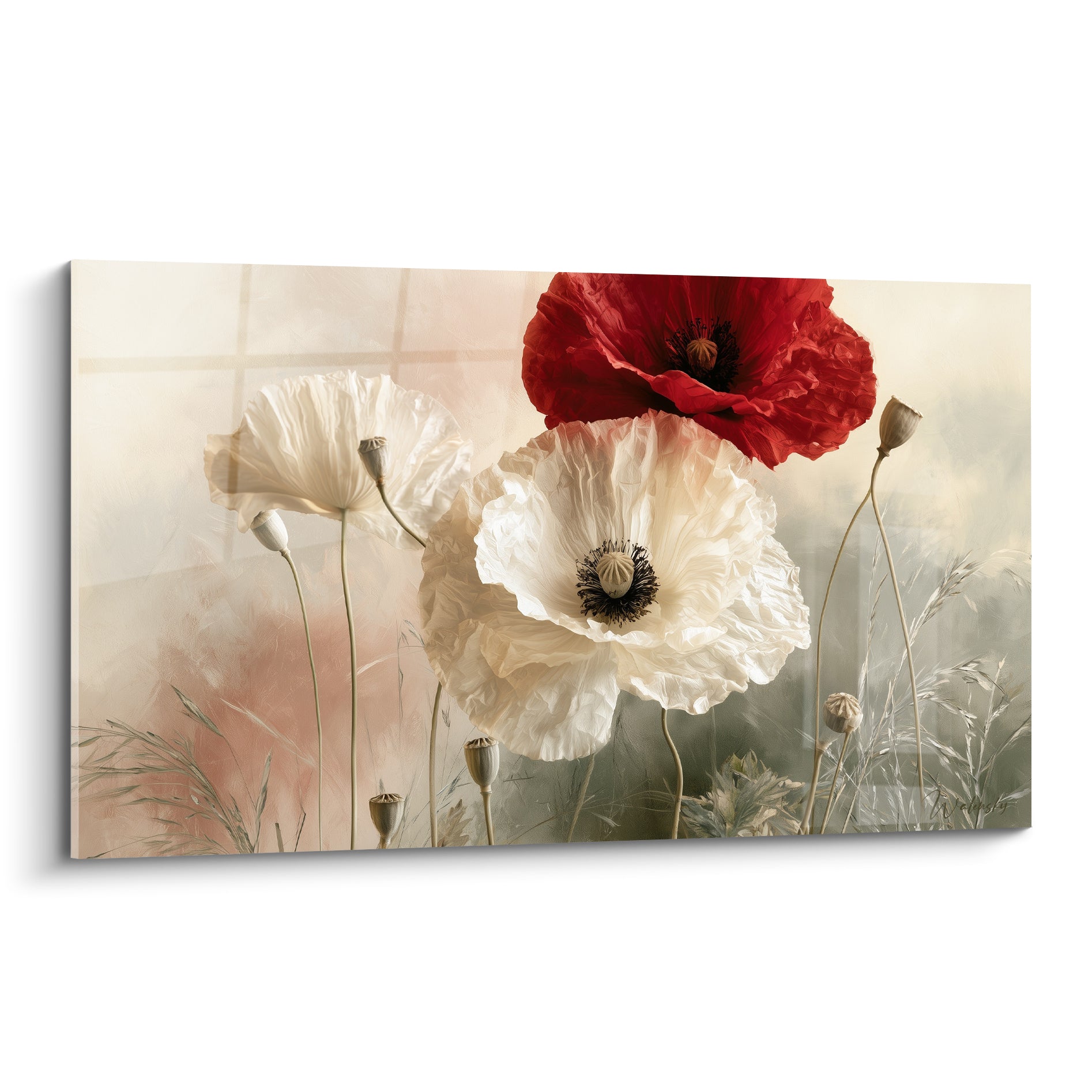 Coquelicot rouge et blanc aux pétales froissés sur fond ivoire et vert sauge délicat