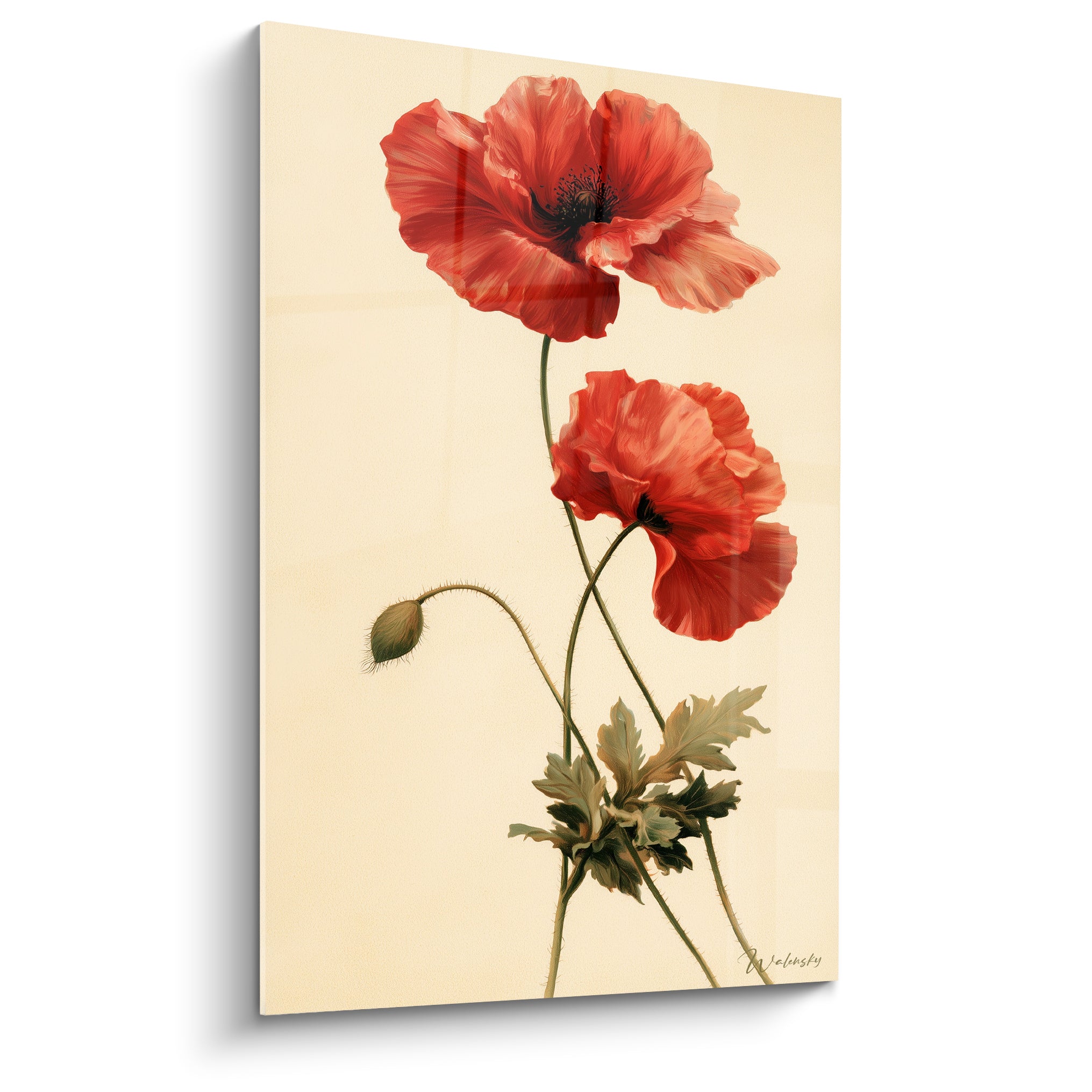 Coquelicots rouges aux pétales soyeux et tiges vert olive sur fond ivoire texturé, style botanique délicat