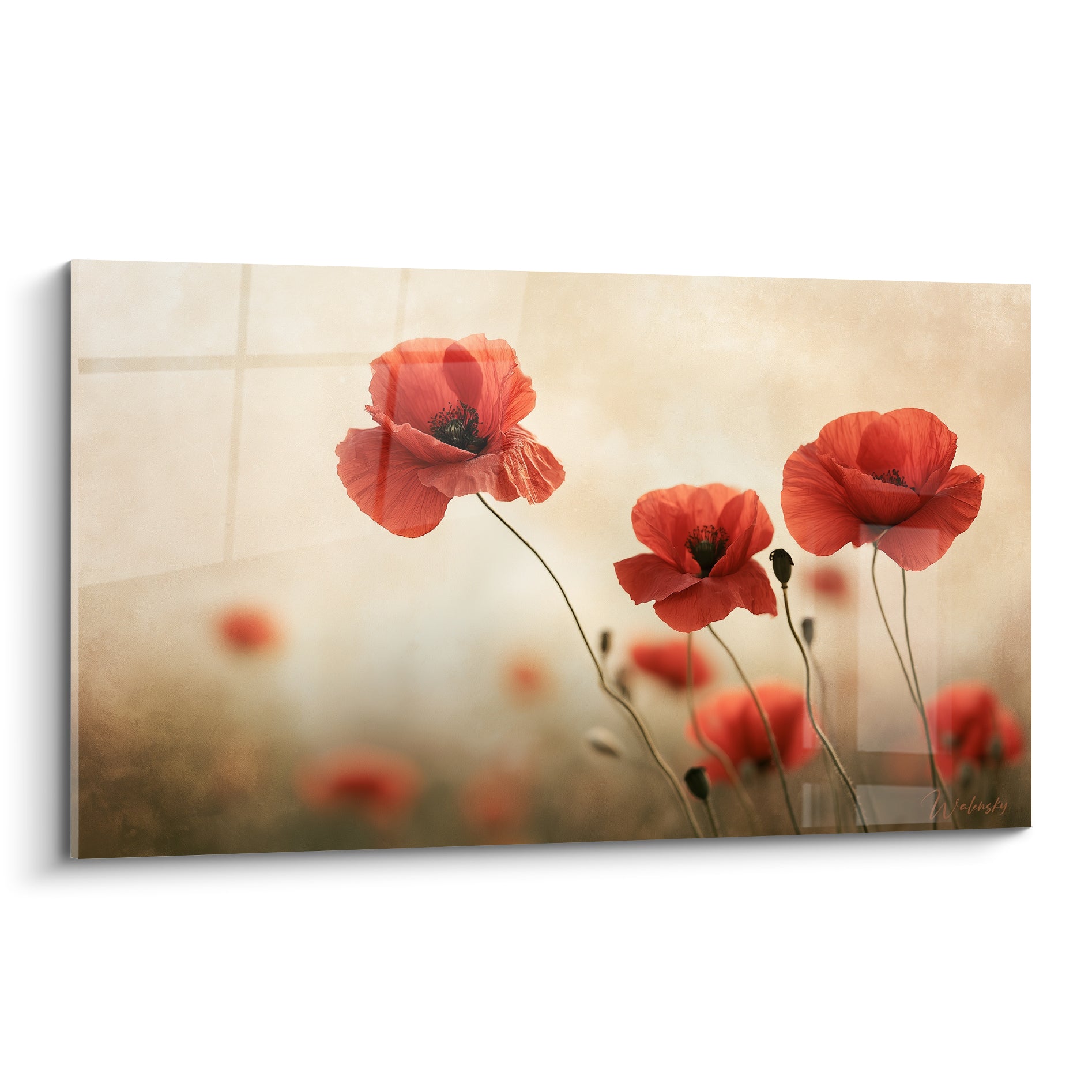 Coquelicots rouges élancés sur fond beige doré, pétales fins et texture vaporeuse en lumière tamisée