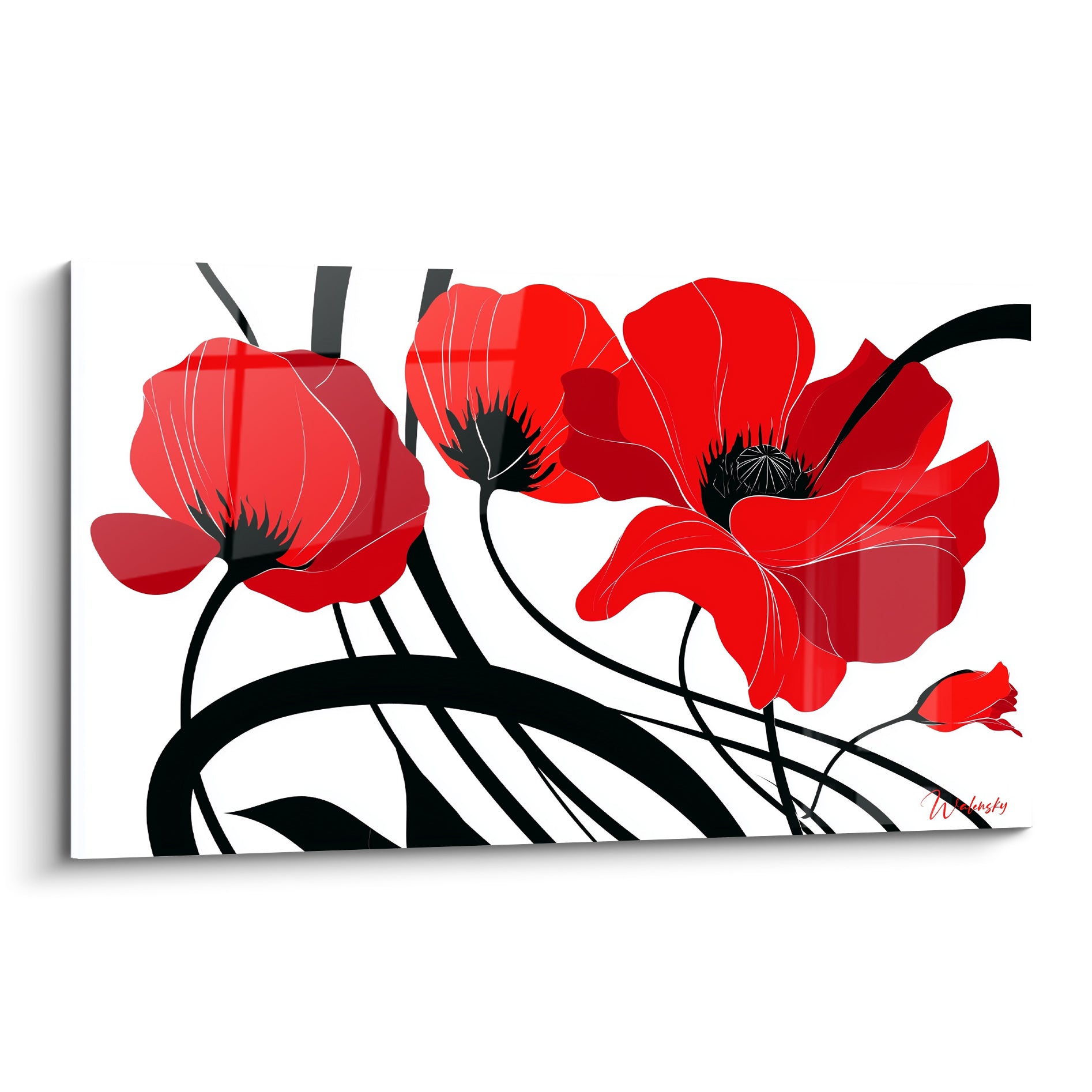 Coquelicots rouges aux cœurs noirs et pétales déployés sur fond blanc éclatant