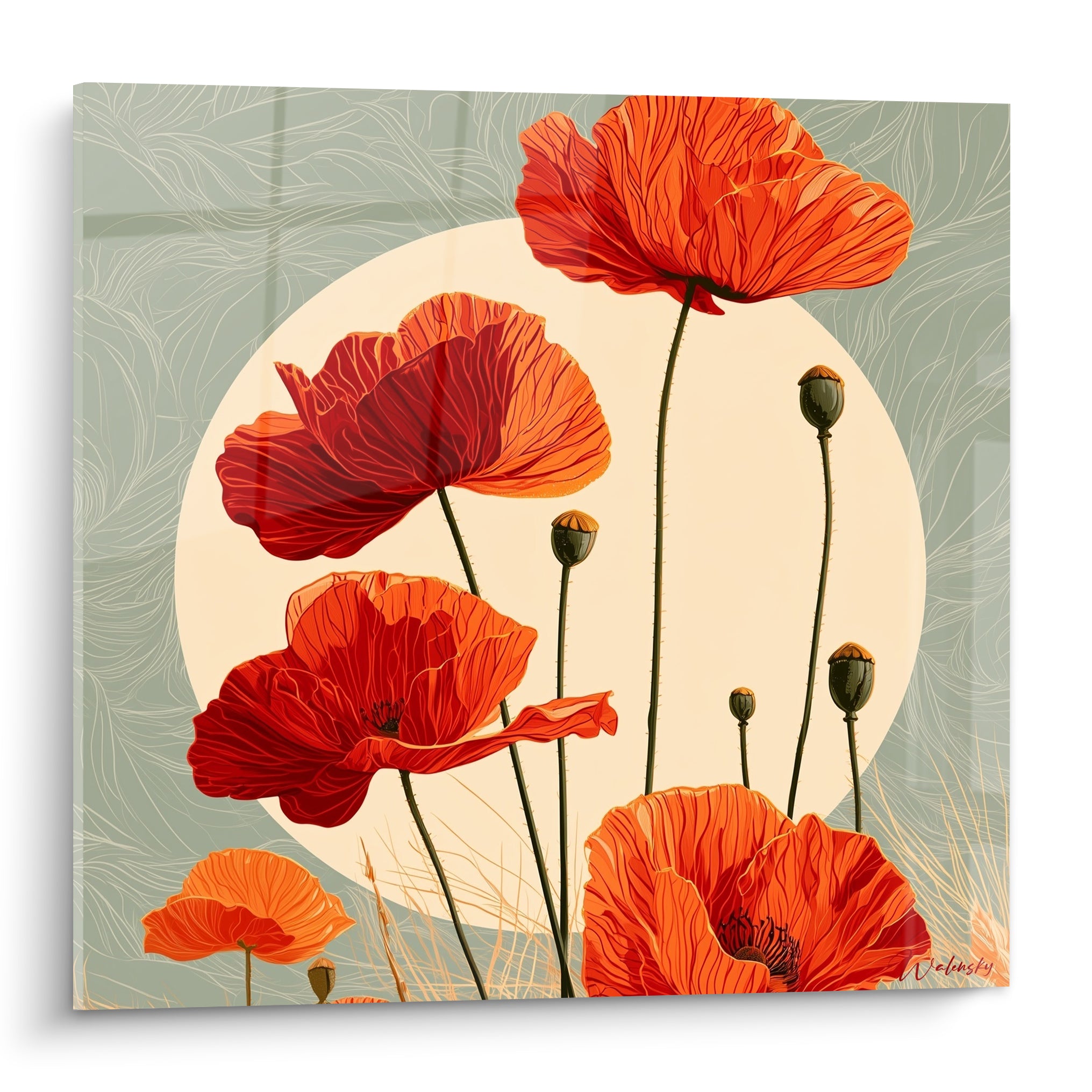 Coquelicots rouge et orangé dressés devant un disque crème sur fond vert sauge illustré