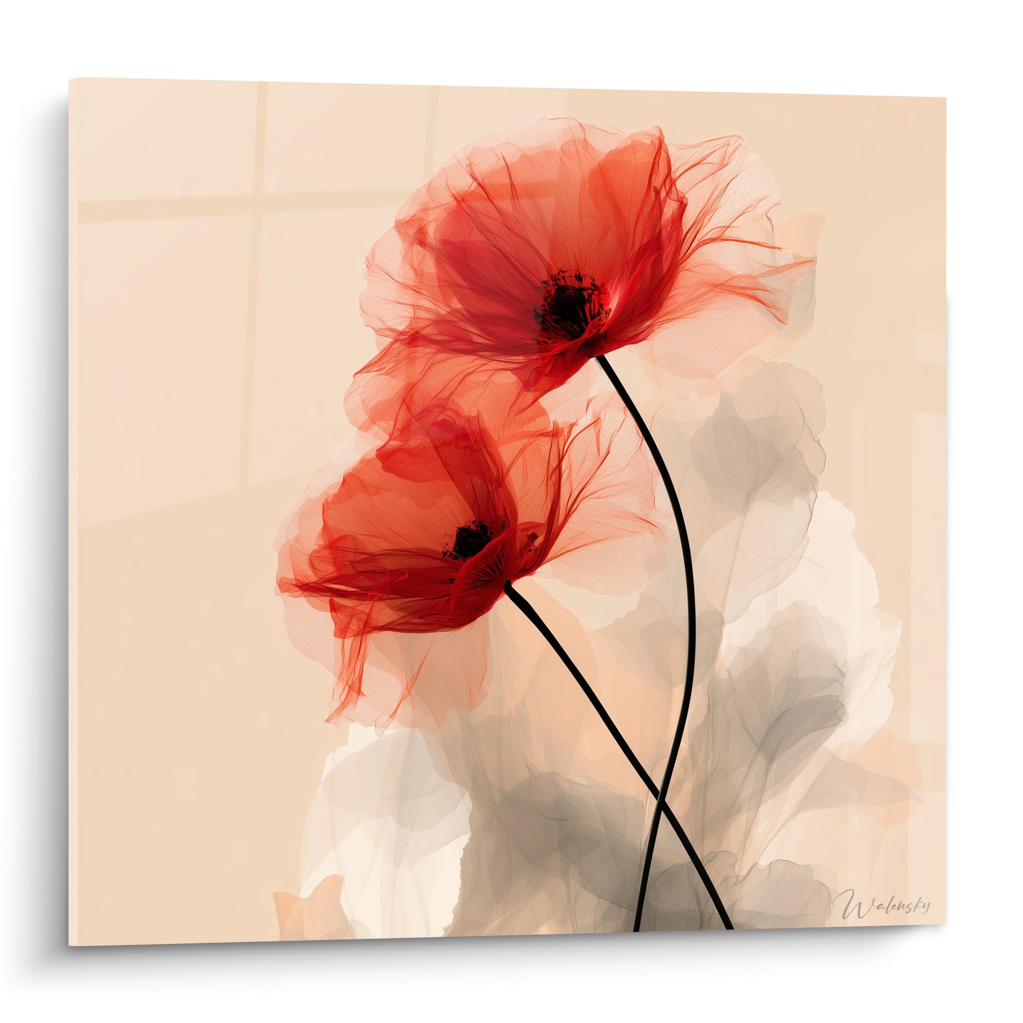 Coquelicots rouges translucides aux tiges noires entrelacées sur fond beige poudré délicat