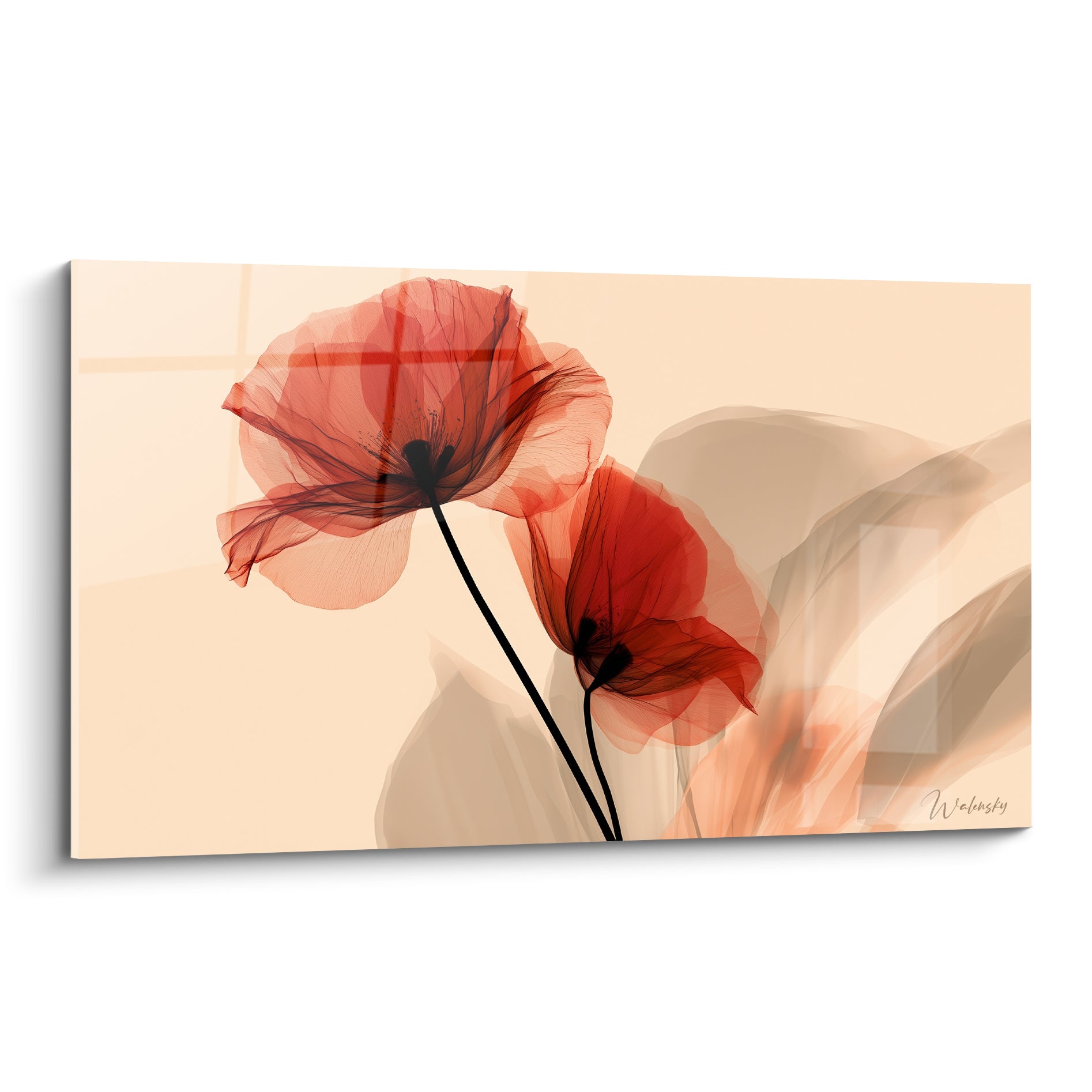 Coquelicot rouge translucide et beige, tiges noires fines, pétales aux nervures visibles sur fond clair
