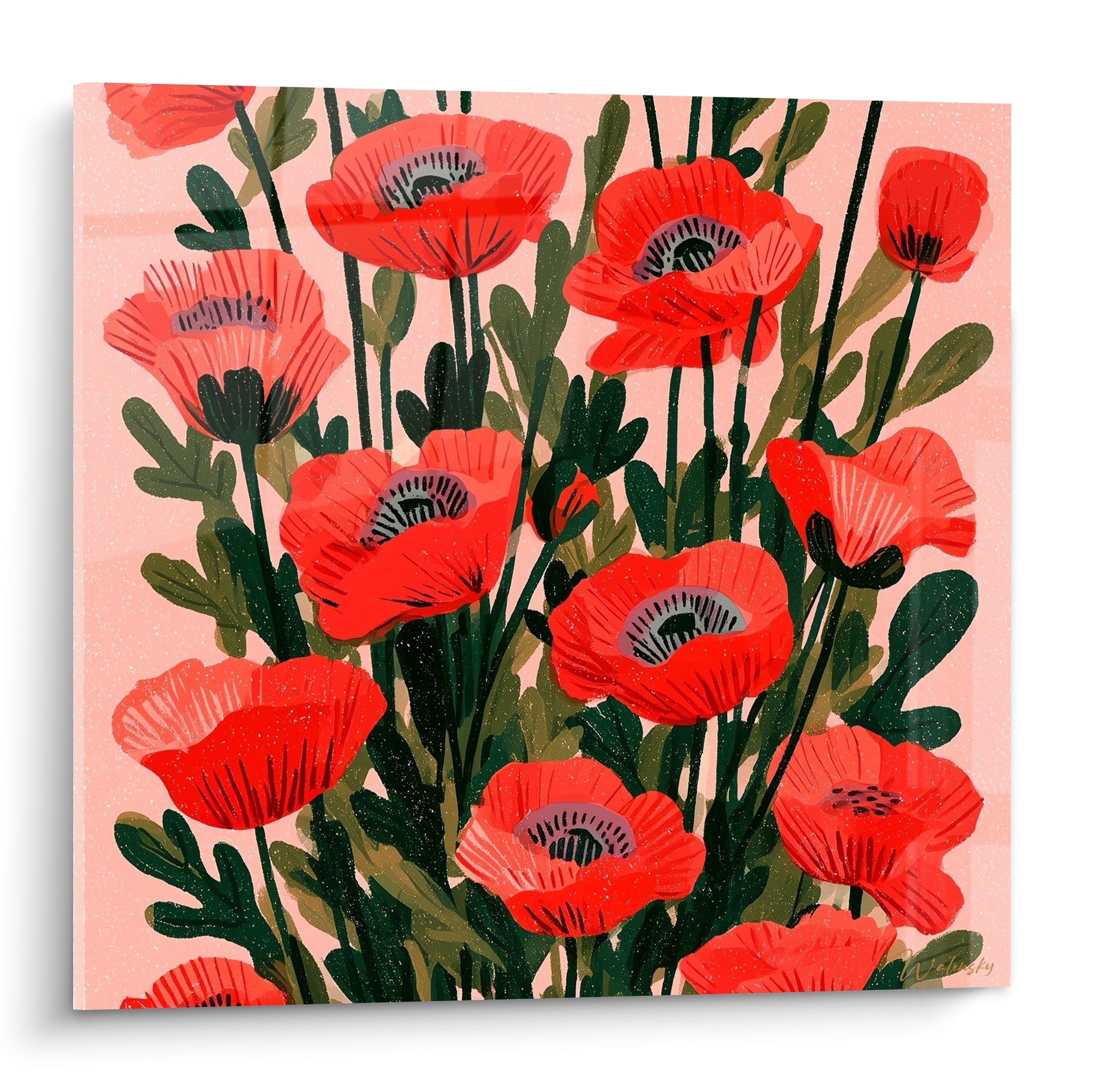 Coquelicots rouge vermillon aux cœurs anthracite déployés sur un fond rose poudré illustré